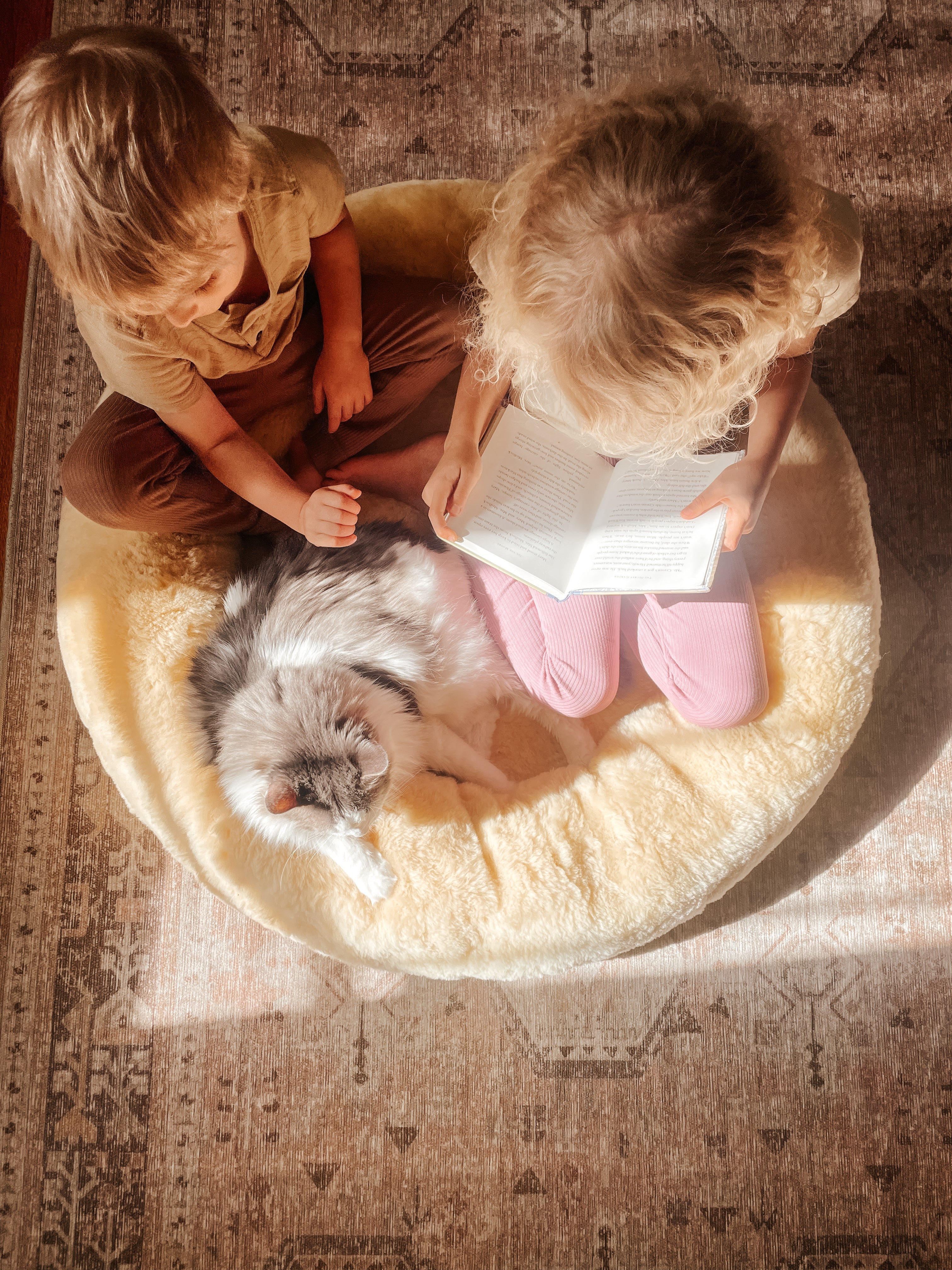 Meltdowns & Sheepskins: How Sheepskins Are Helping Children Regulate