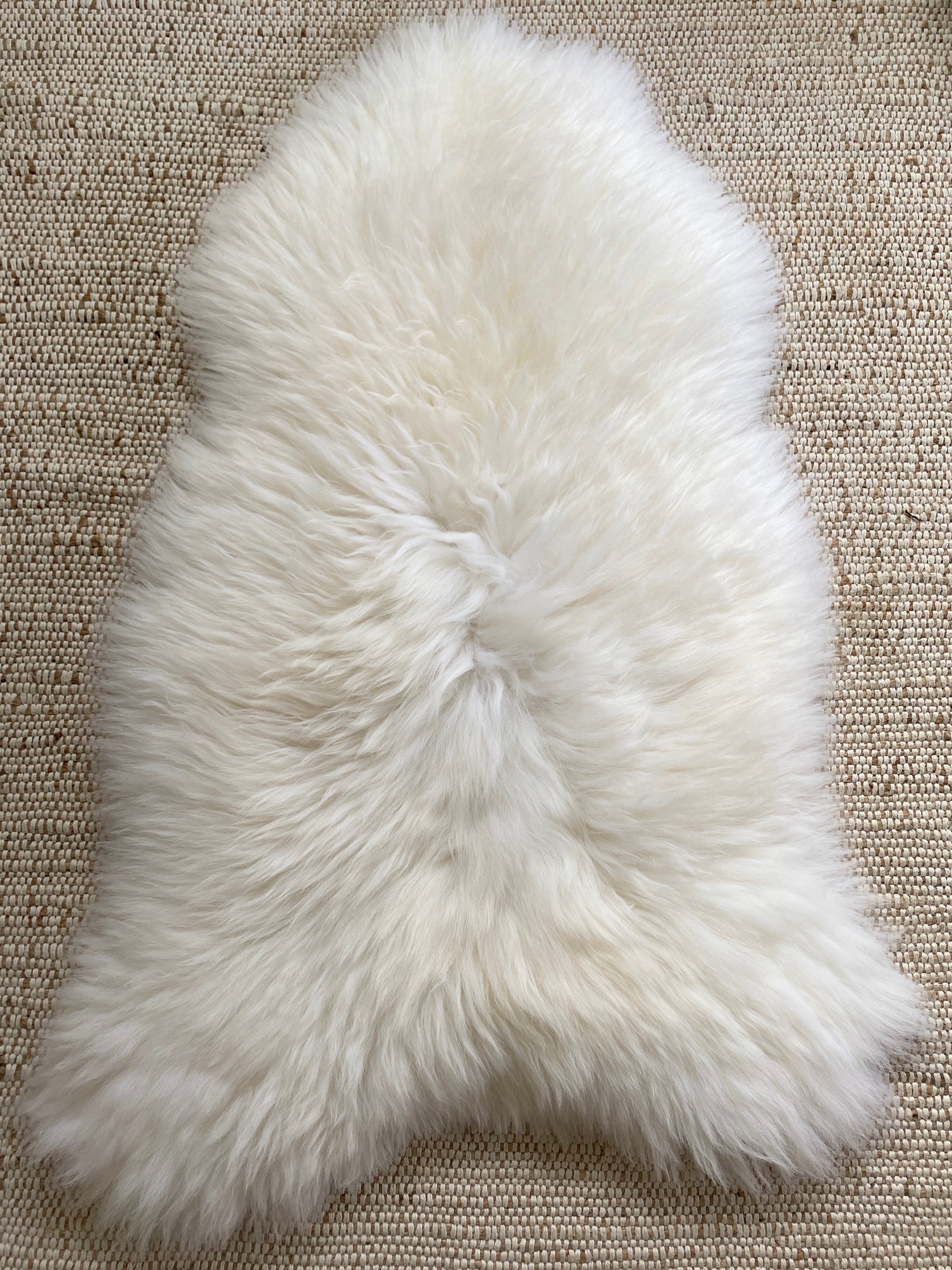 Plush Longhair Ivory Sheepskin