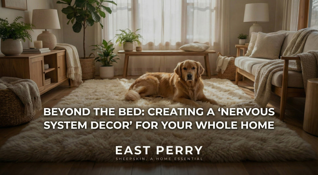 Beyond the Bed: Creating a "Nervous System Decor" for Your Whole Home