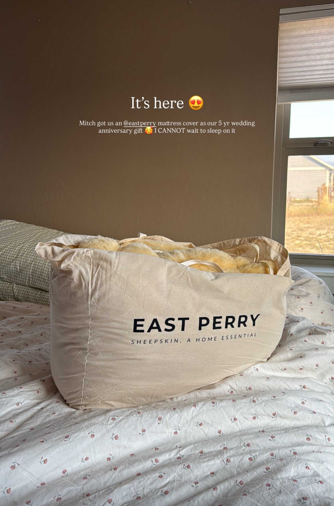 Medical Grade Sheepskin Mattress Cover