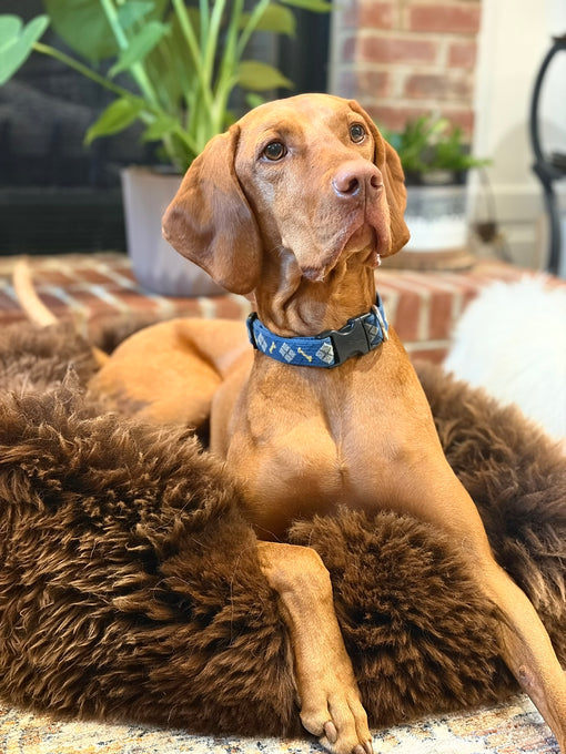 The Snug in Brown, Large