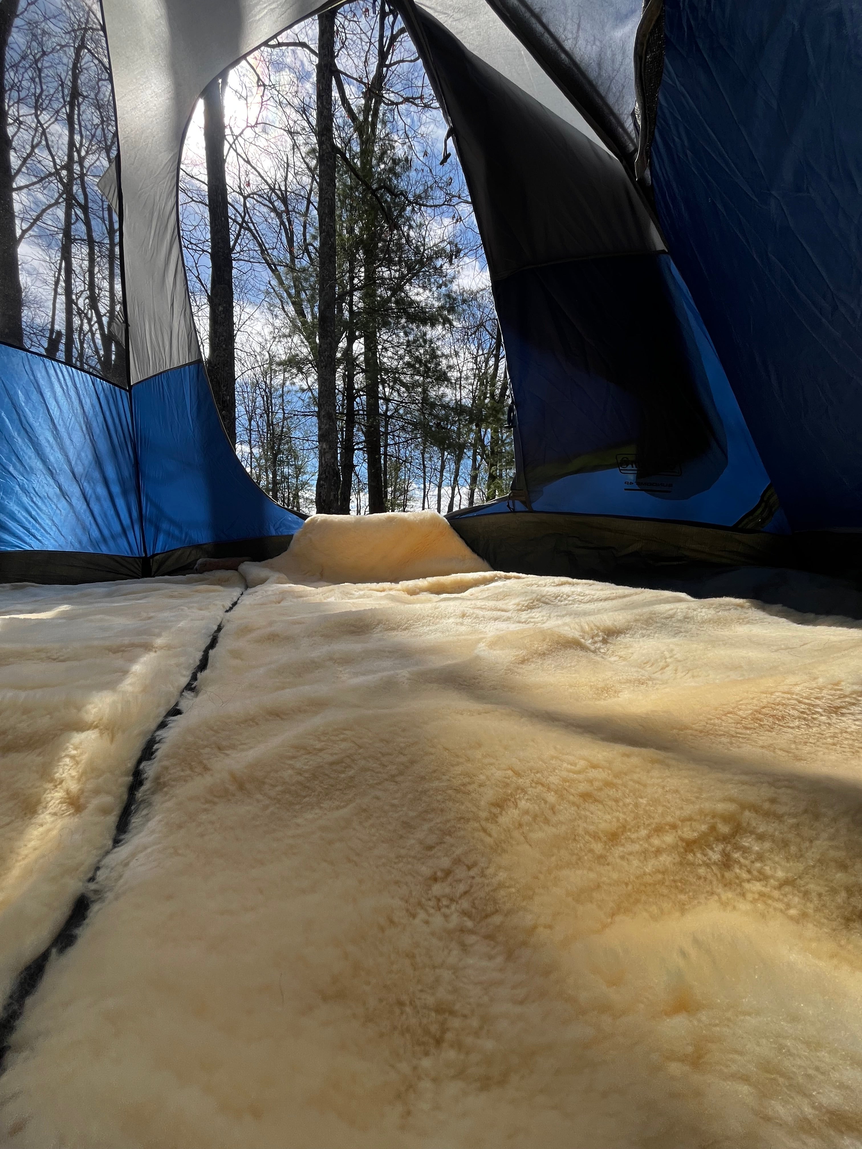 Sheepskin Sleeping Bag