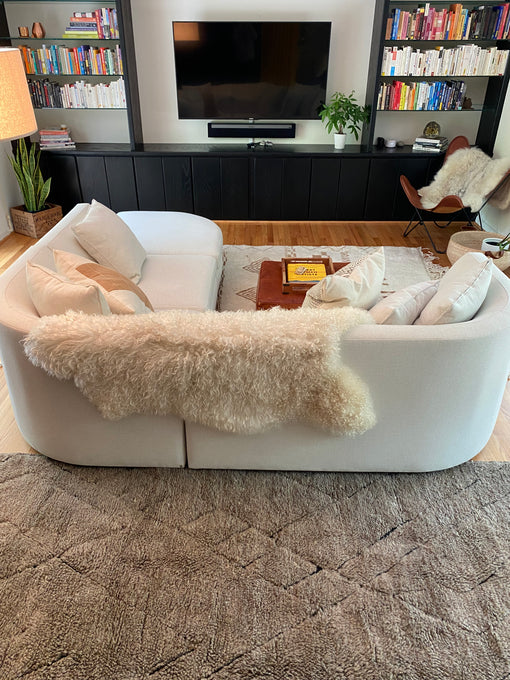 Longhaired Ivory Gotland