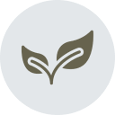 Naturally Clean & Fresh