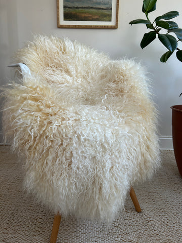 Honey Tipped Ivory Gotland