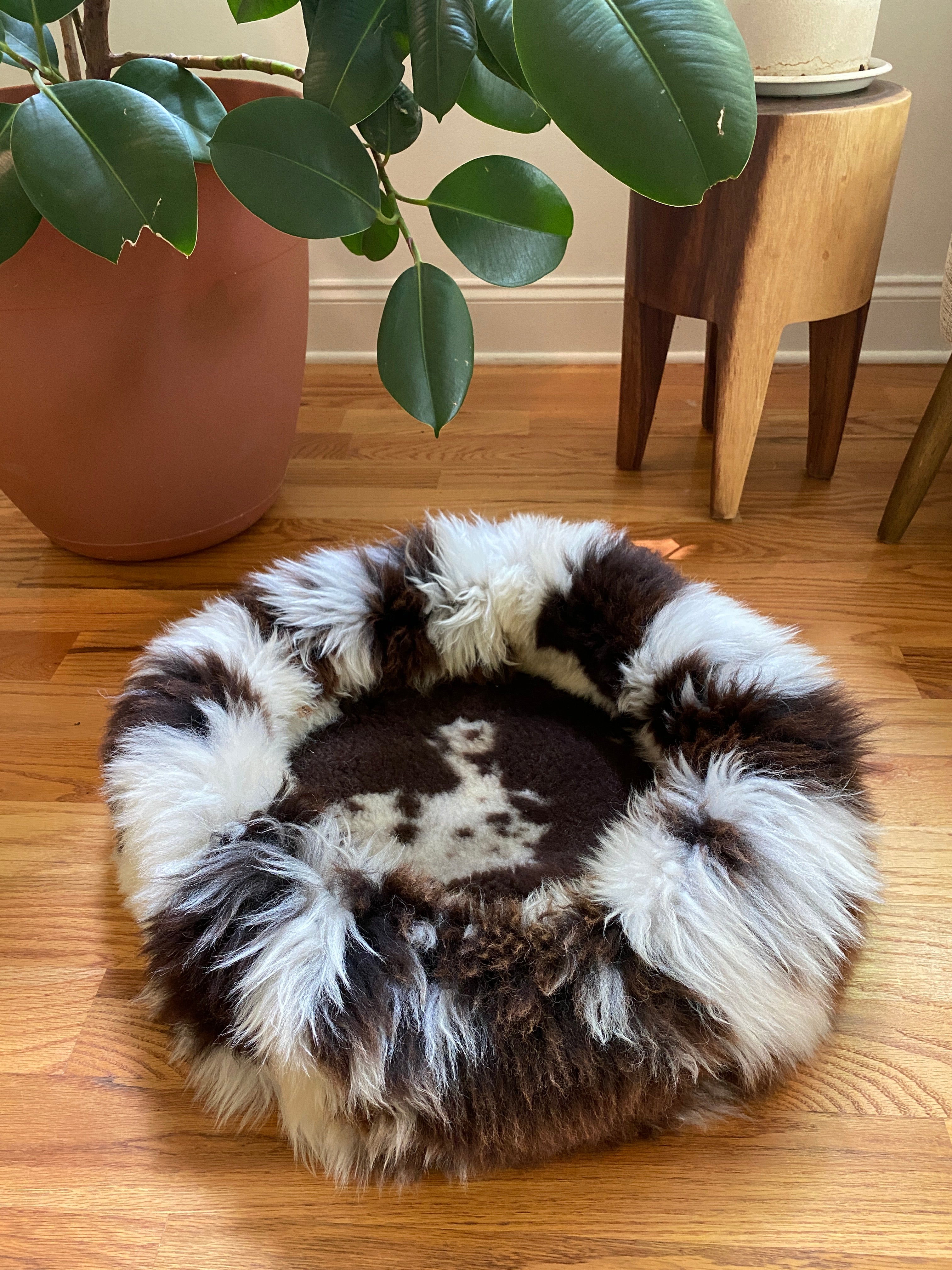 Medium Exclusive Animal Snug