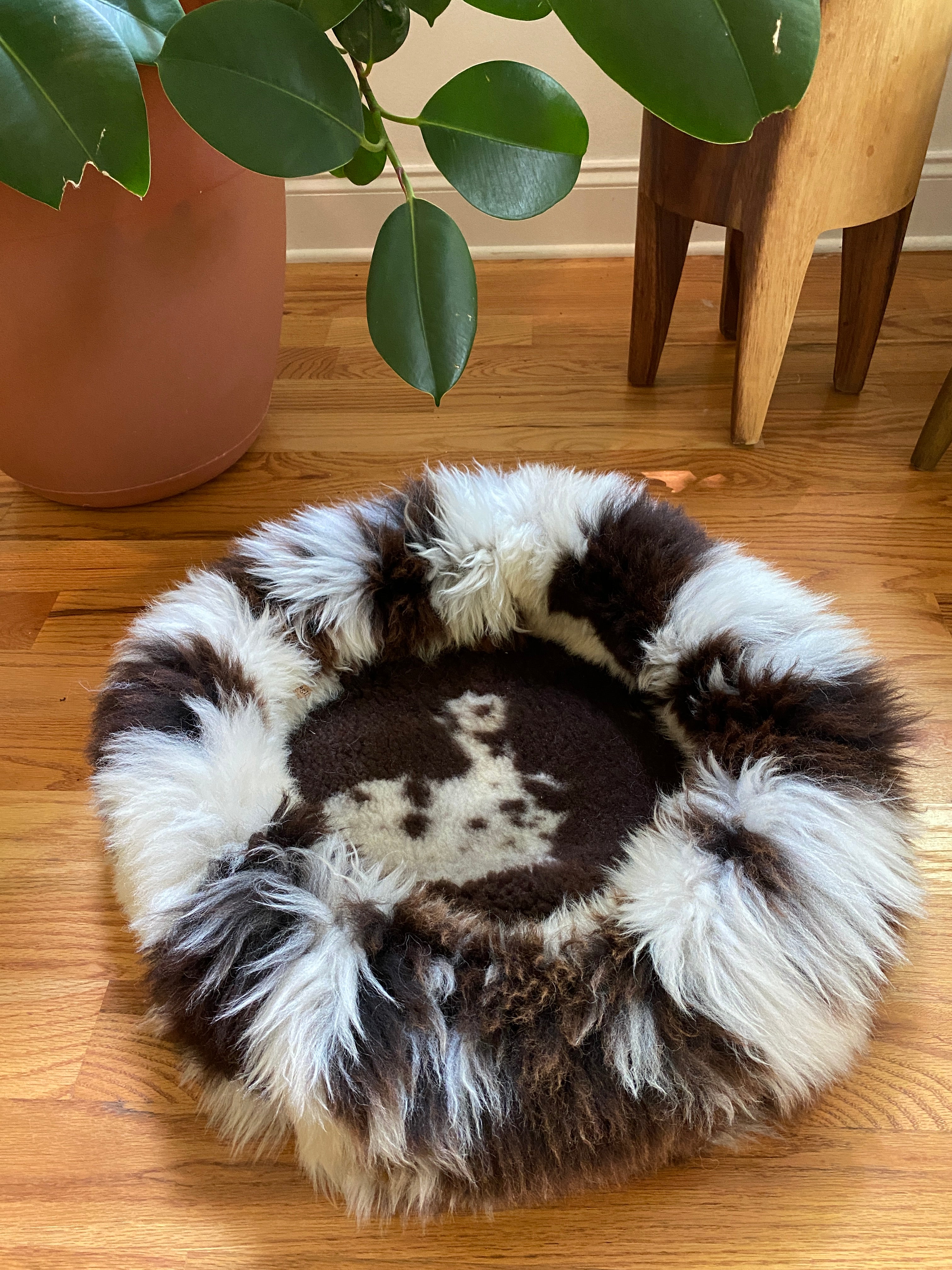 Medium Exclusive Animal Snug