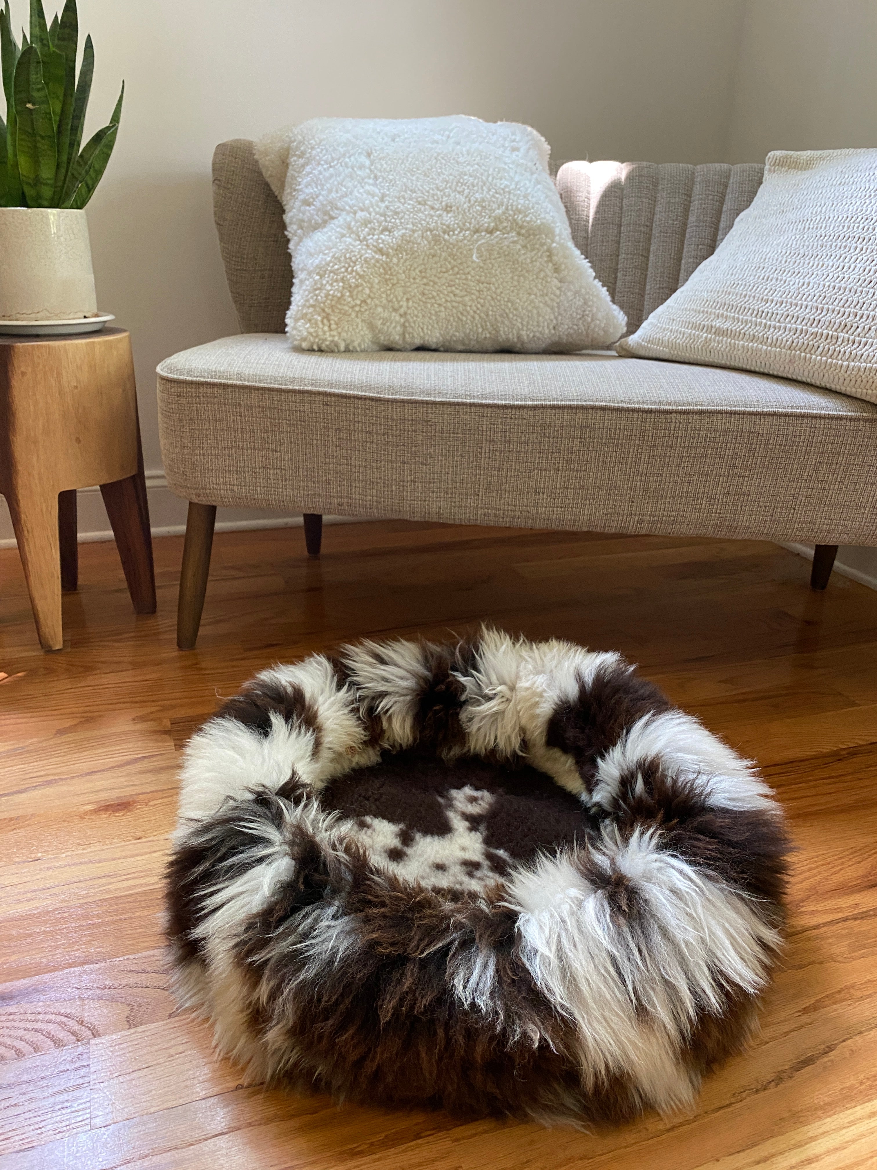 Medium Exclusive Animal Snug