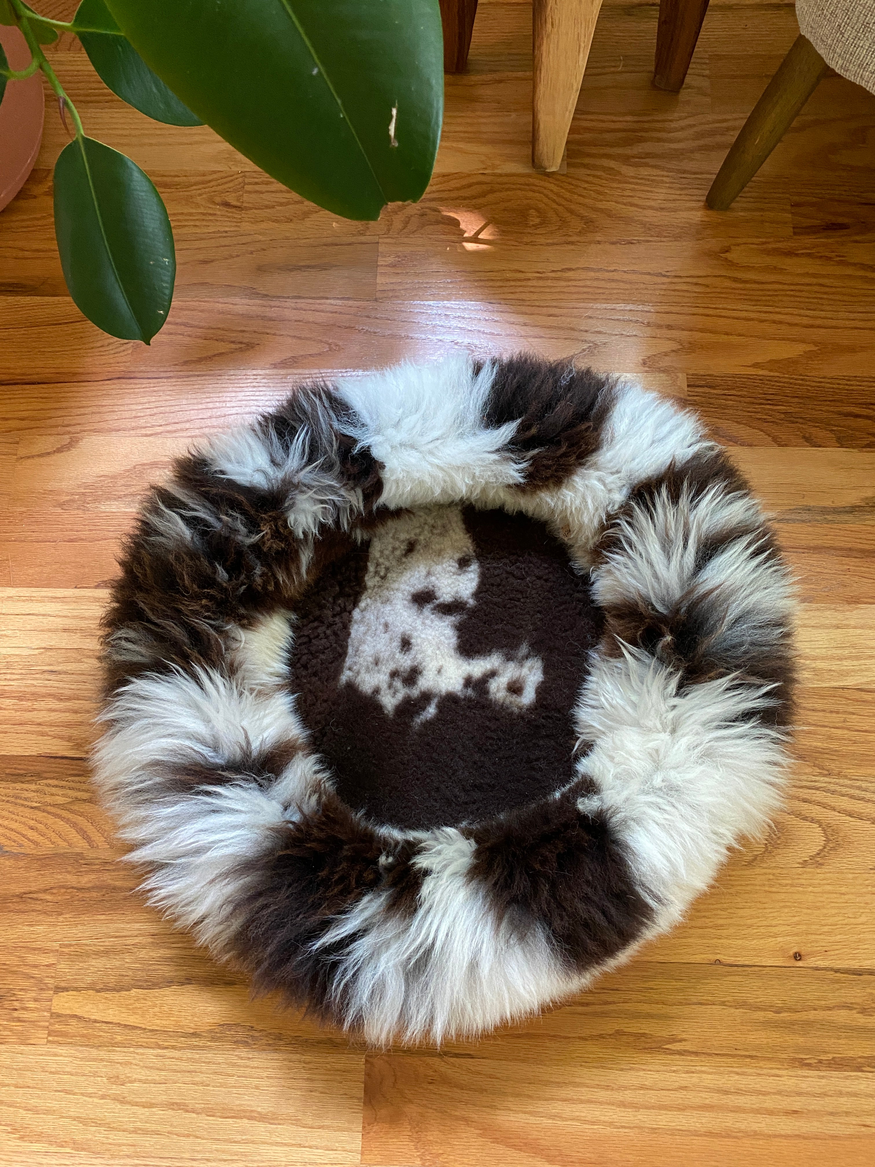 Medium Exclusive Animal Snug