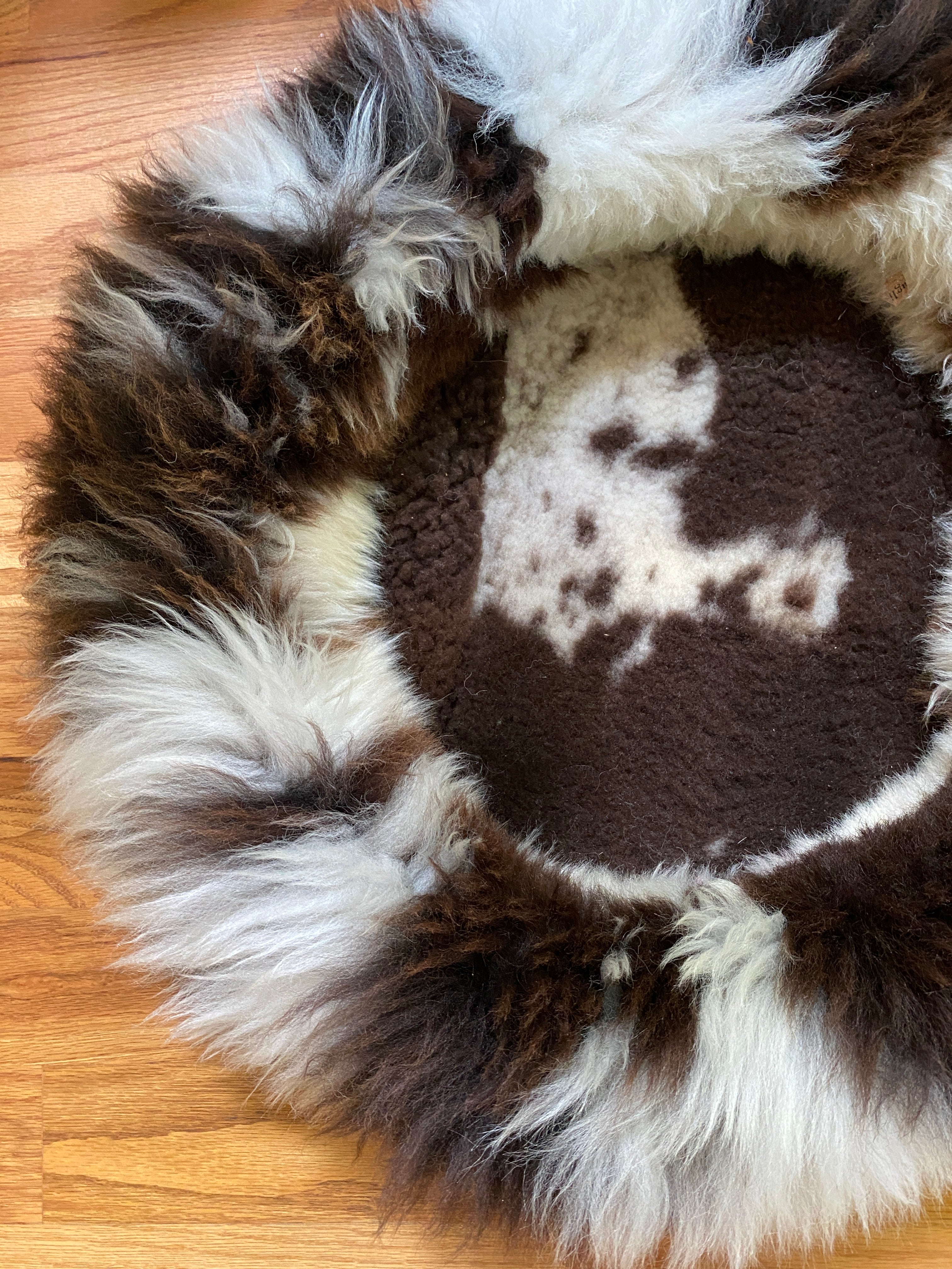 Medium Exclusive Animal Snug