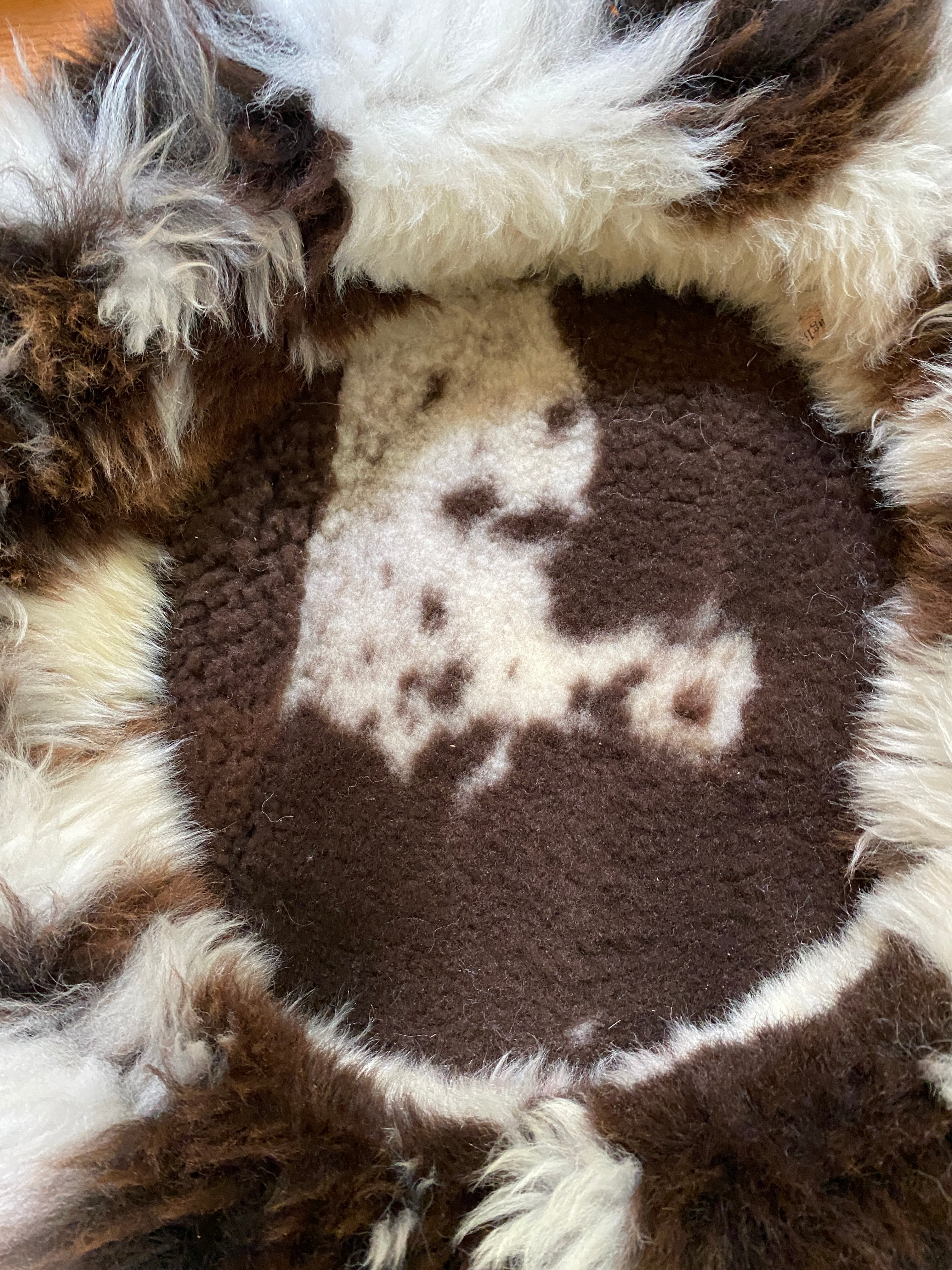 Medium Exclusive Animal Snug