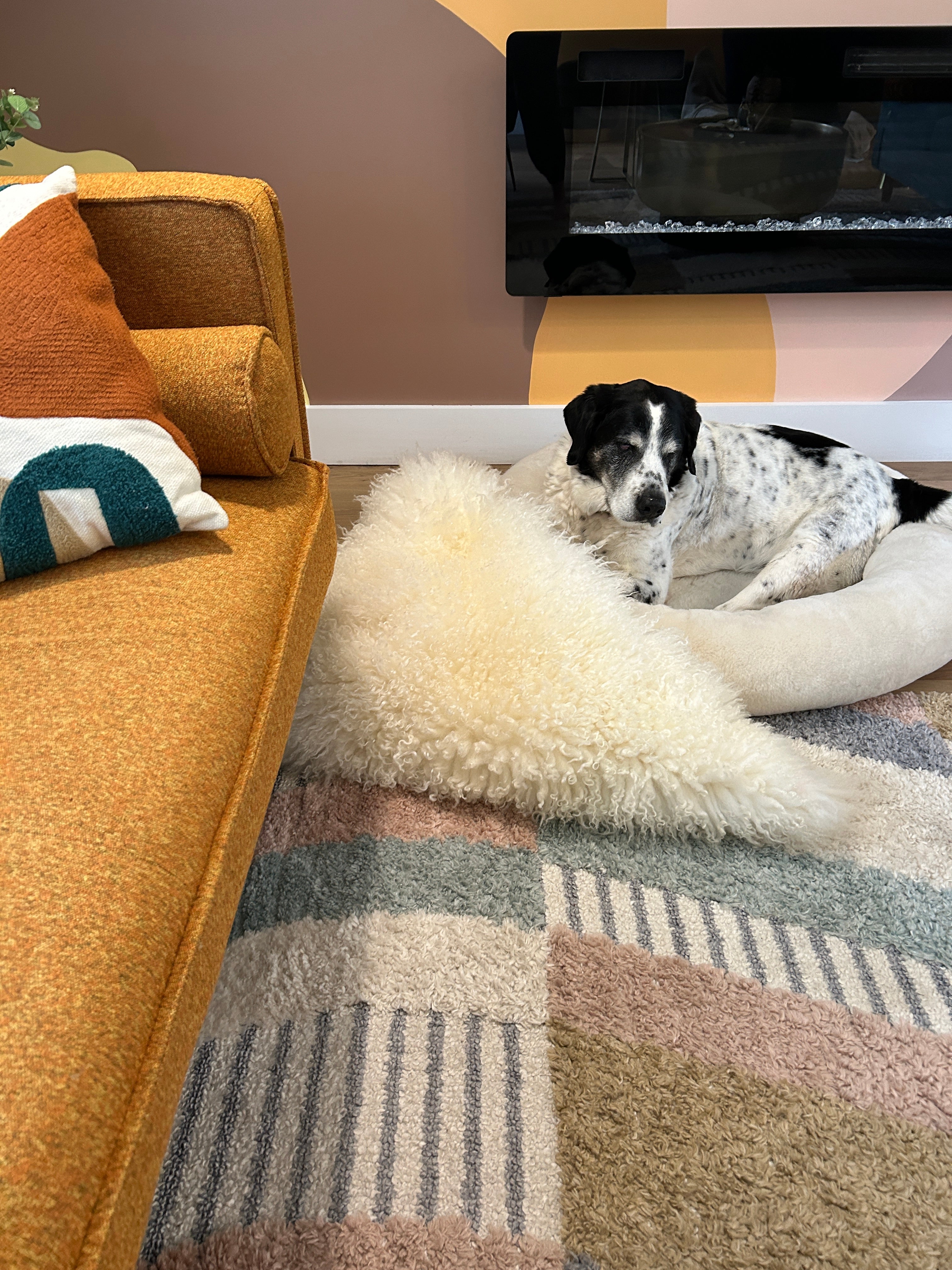 SNUGLY - Short Fur Sheepskin Dog Bed