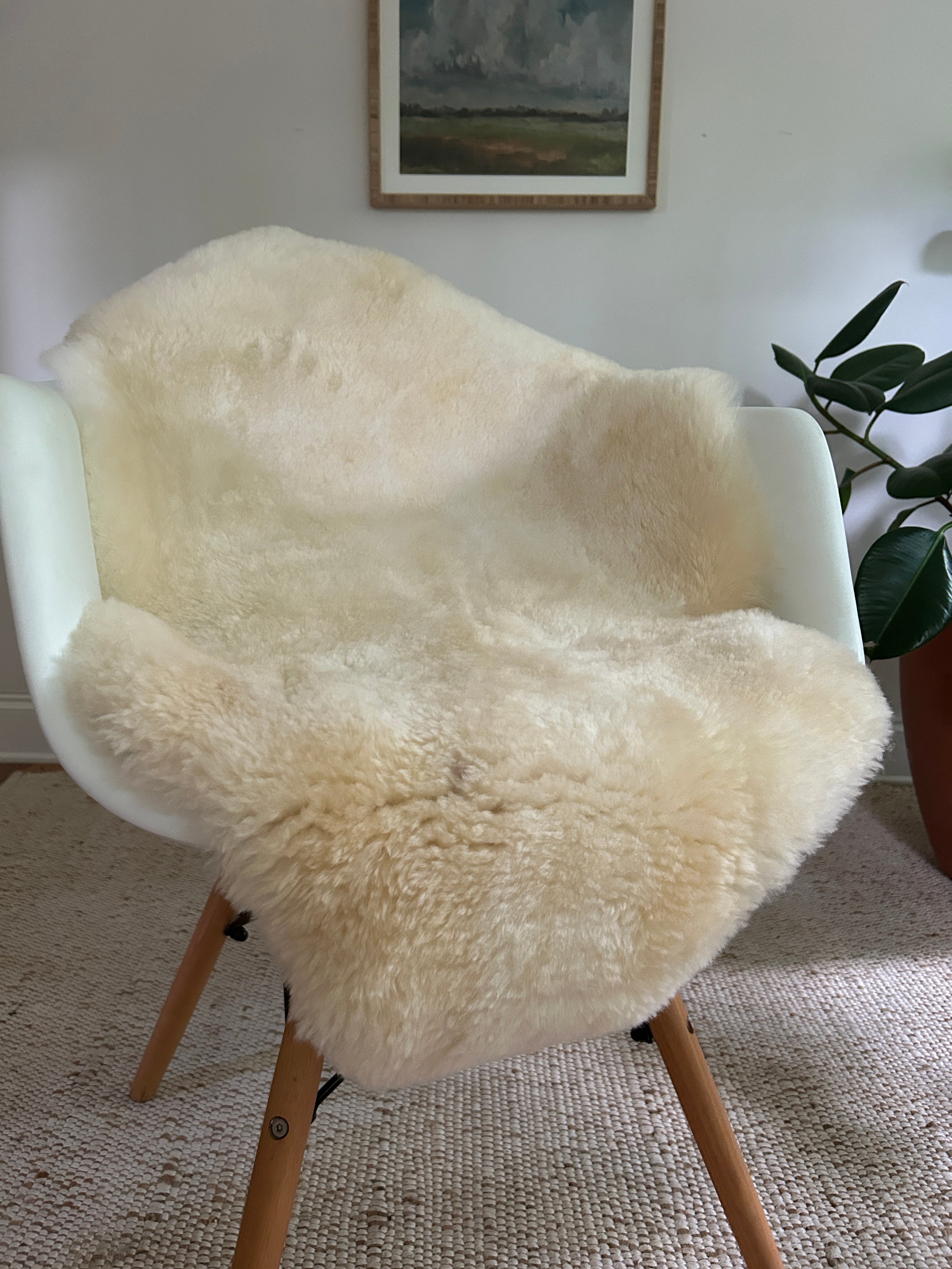 White Sheepskin Rugs– East Perry
