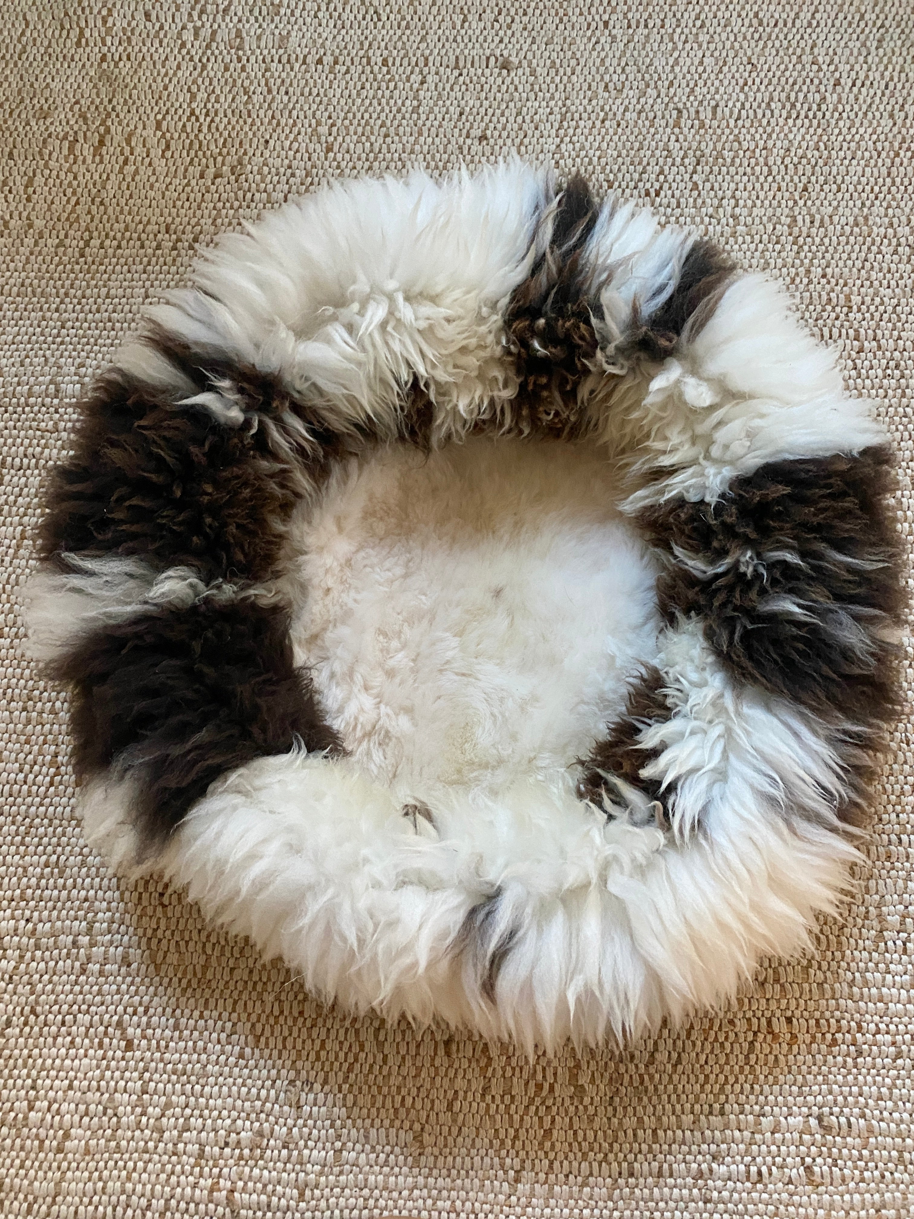 Exclusive Animal Snug #1