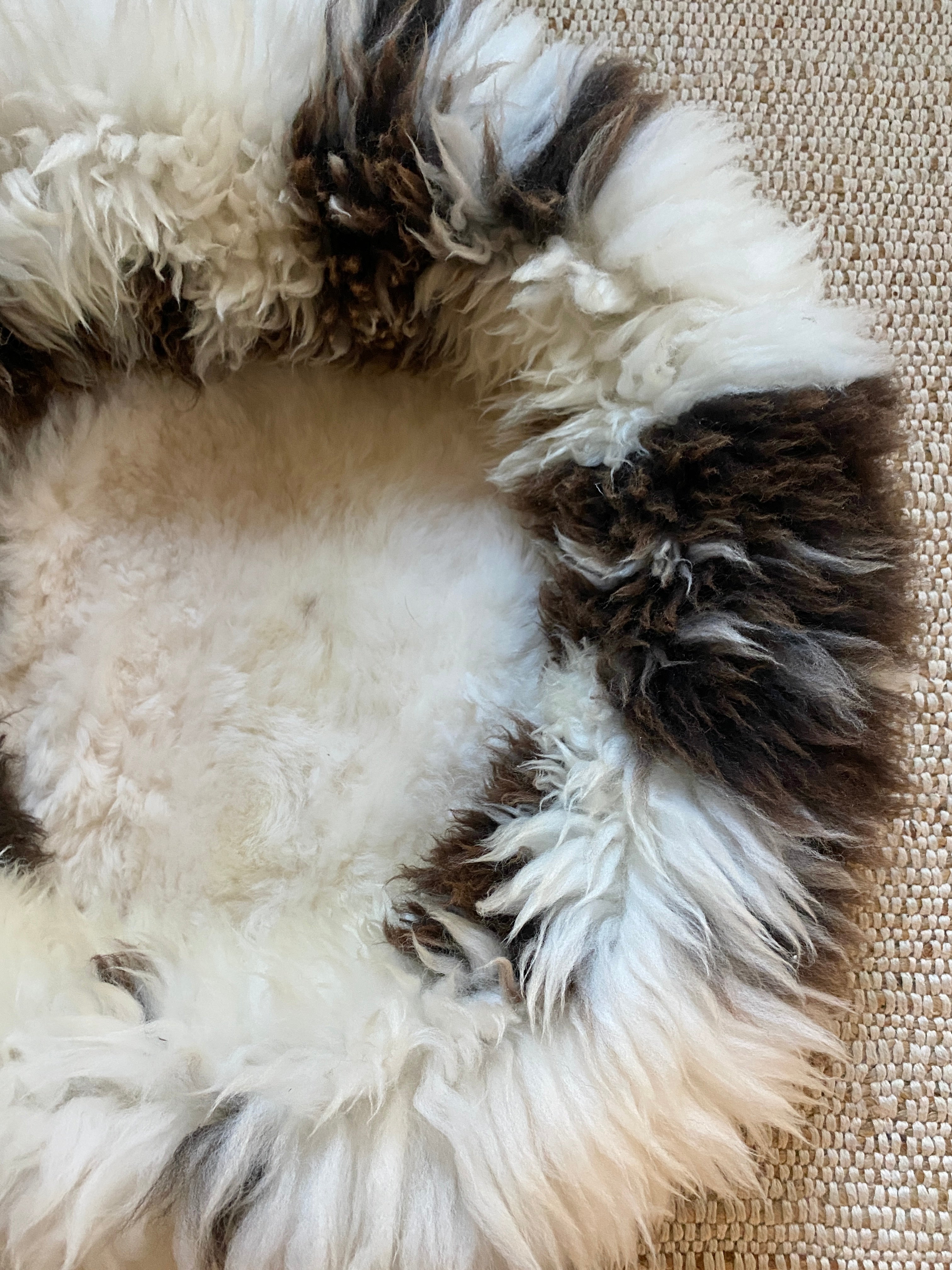 Exclusive Animal Snug #1