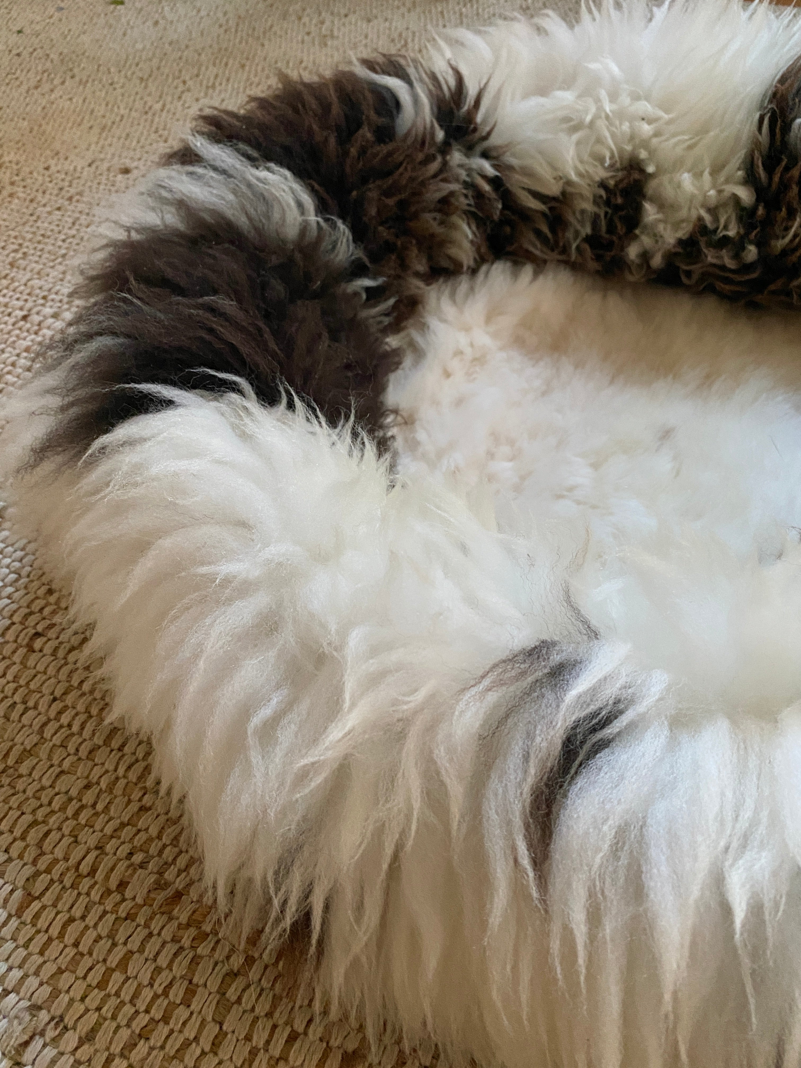 Exclusive Animal Snug #1
