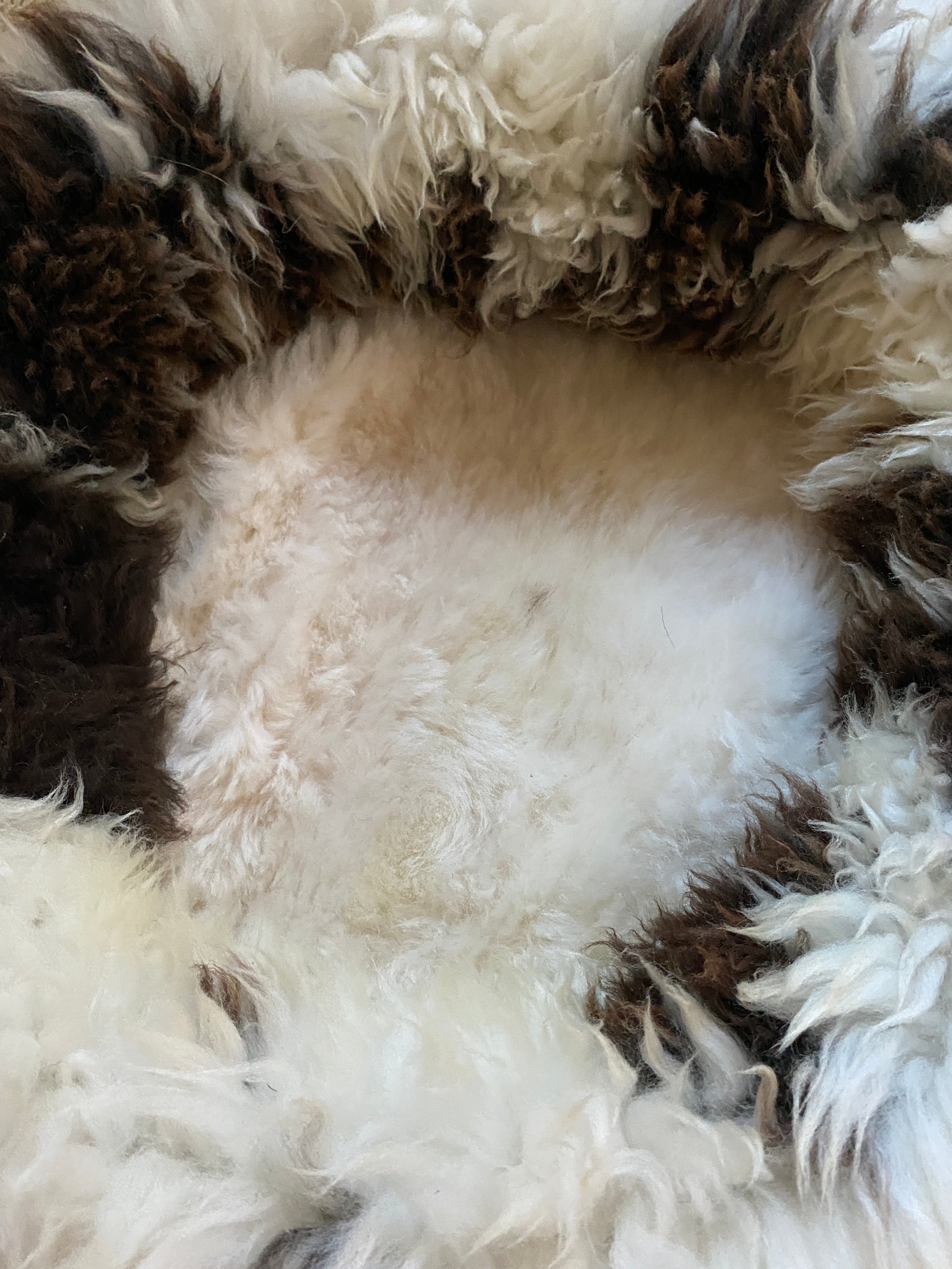 Exclusive Animal Snug #1