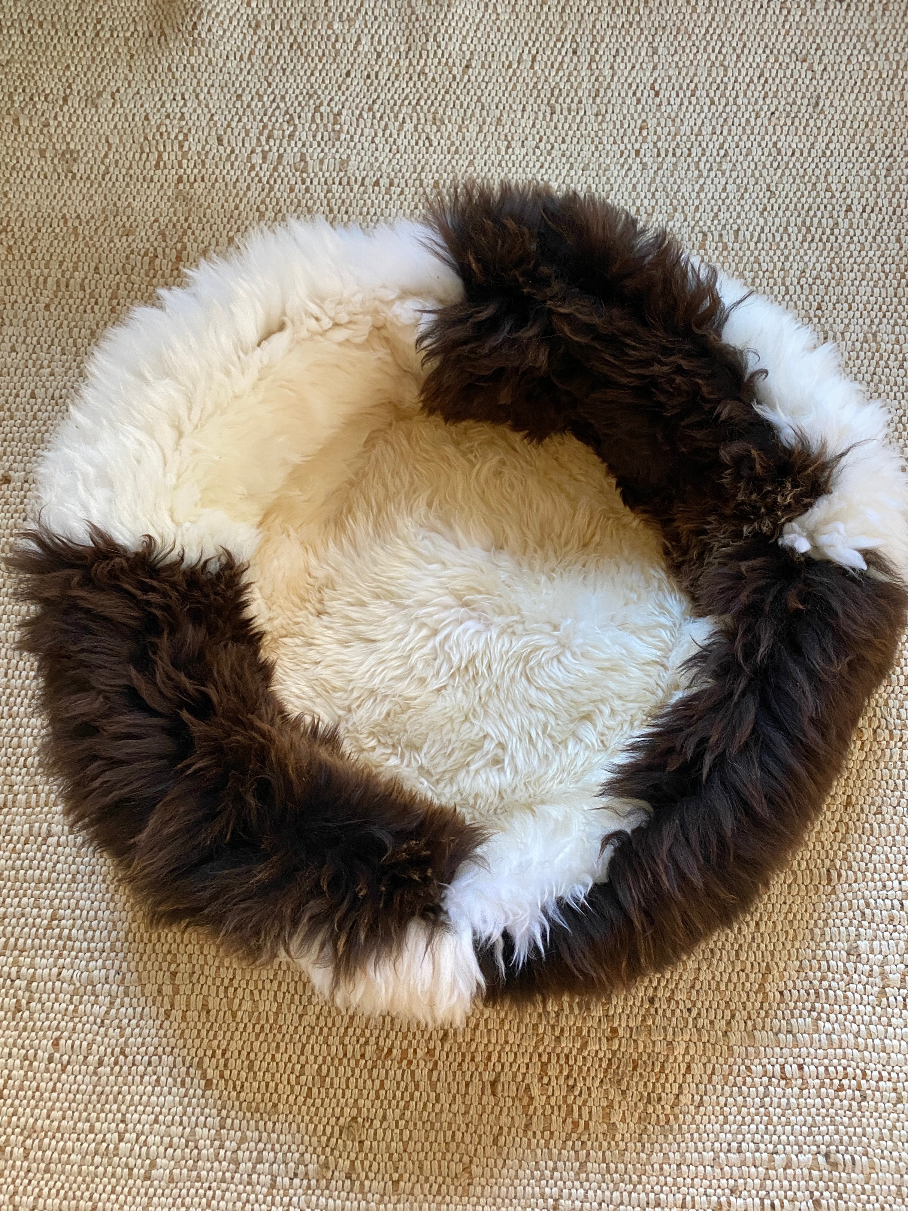 Exclusive Animal Snug #2