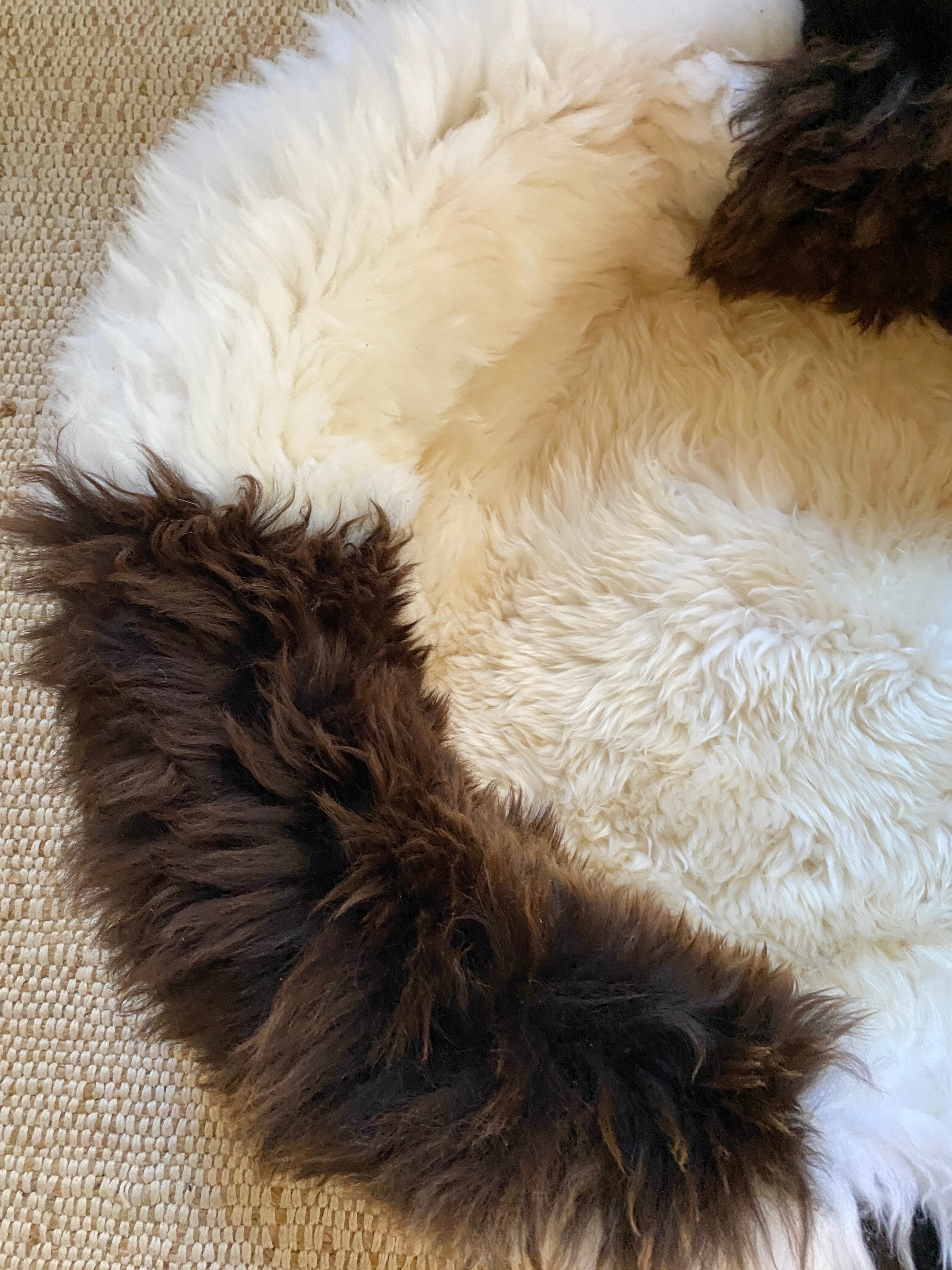 Exclusive Animal Snug #2