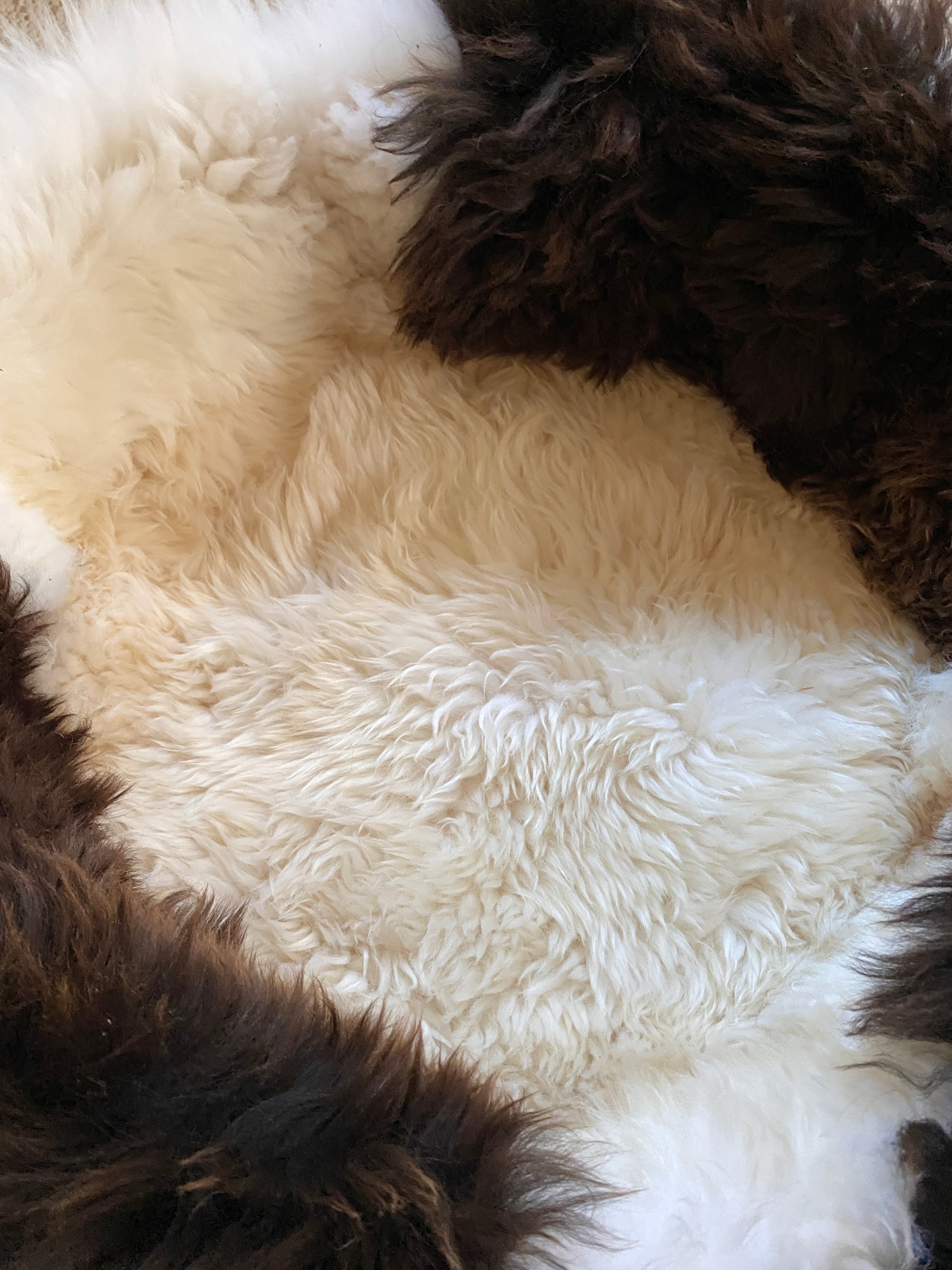 Exclusive Animal Snug #2