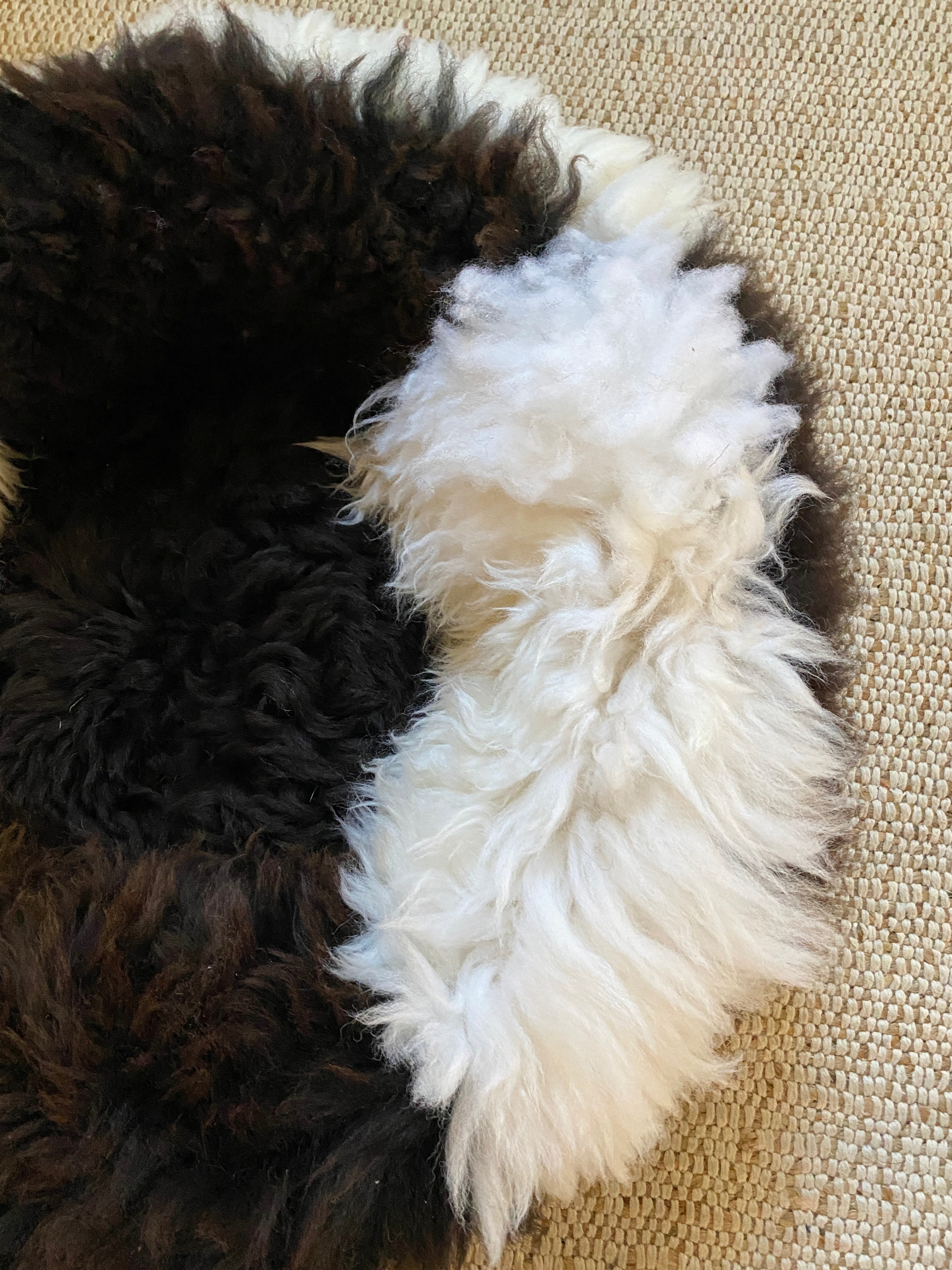 Exclusive Animal Snug #3
