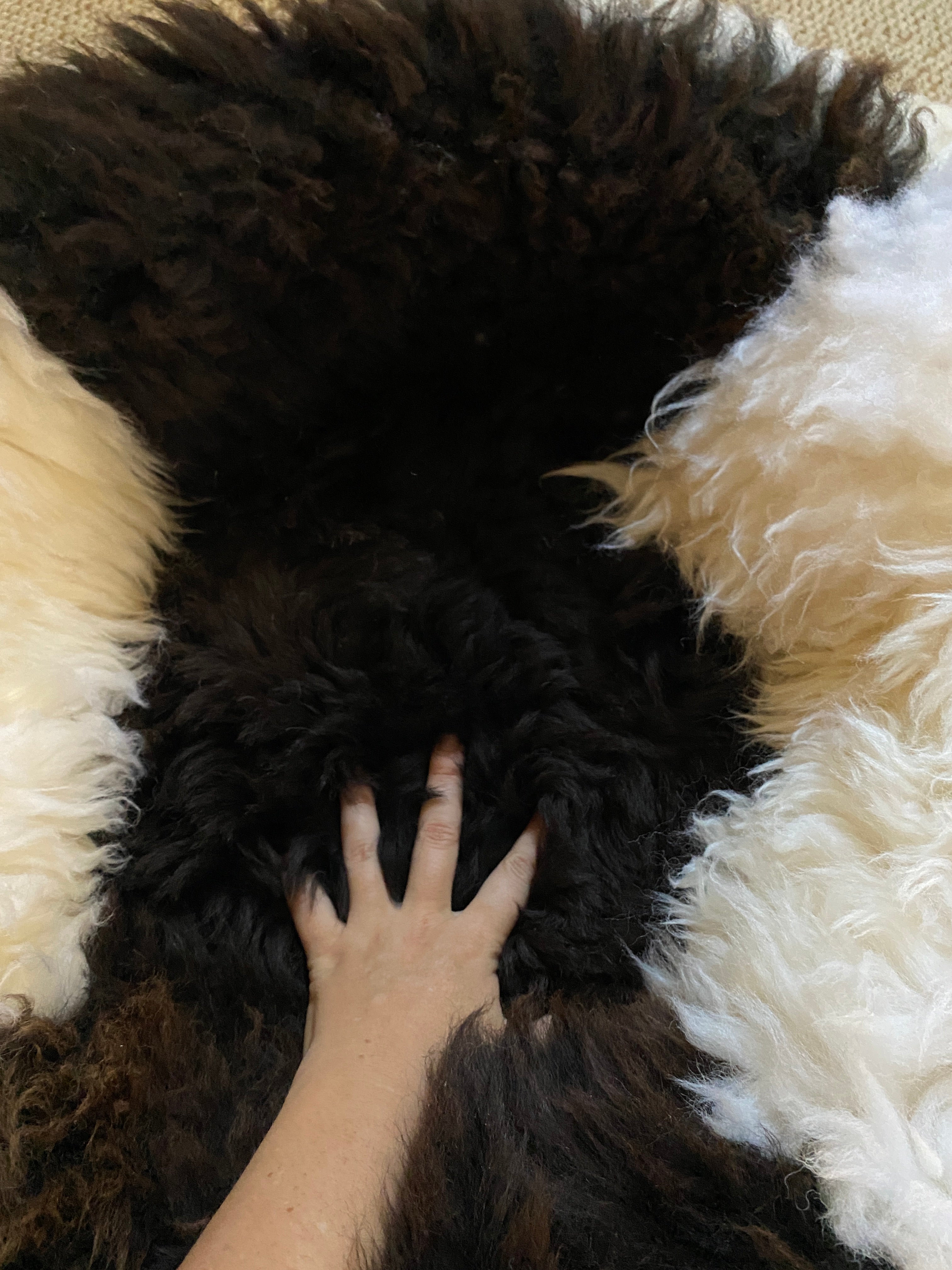 Exclusive Animal Snug #3