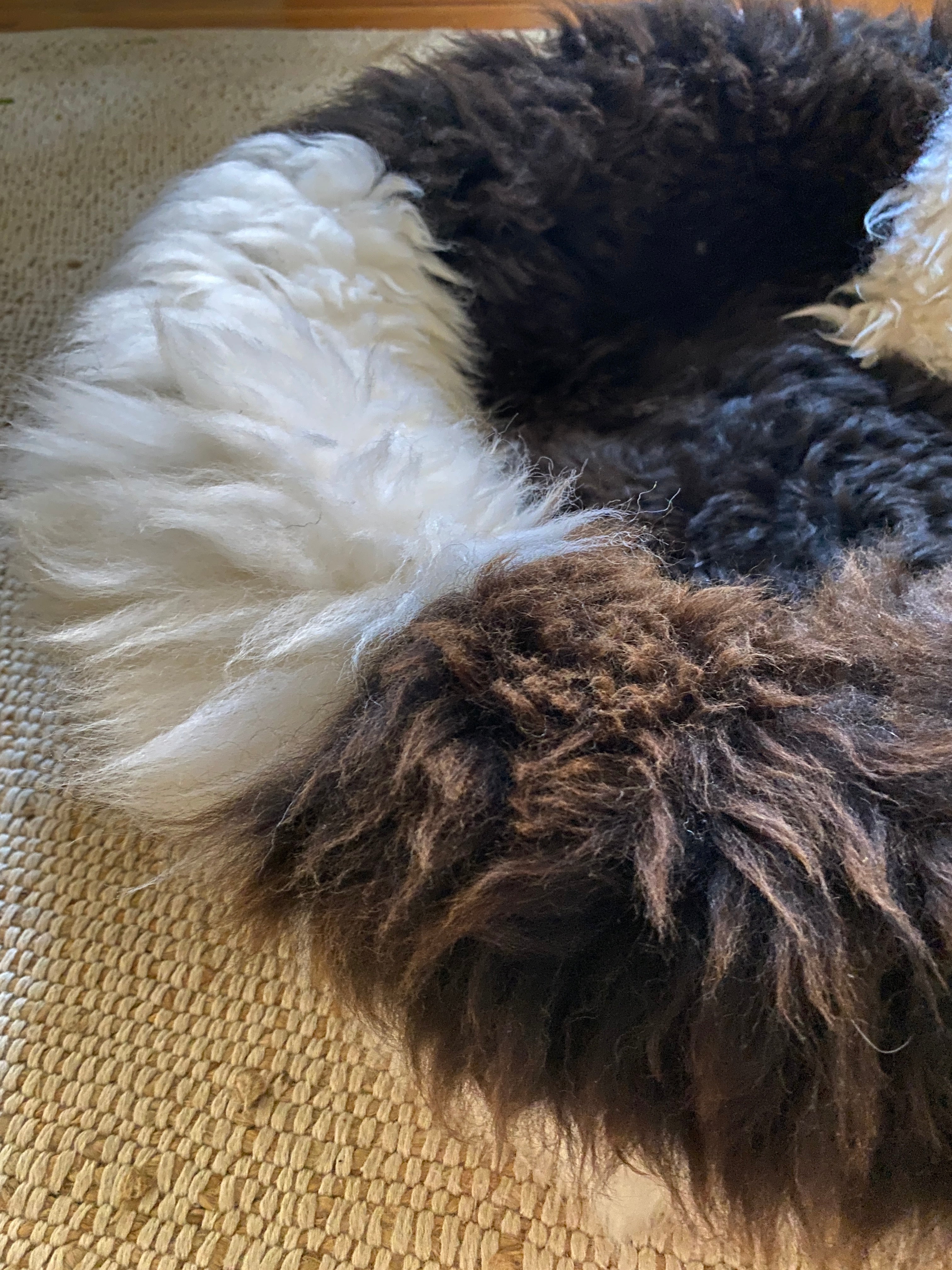 Exclusive Animal Snug #3