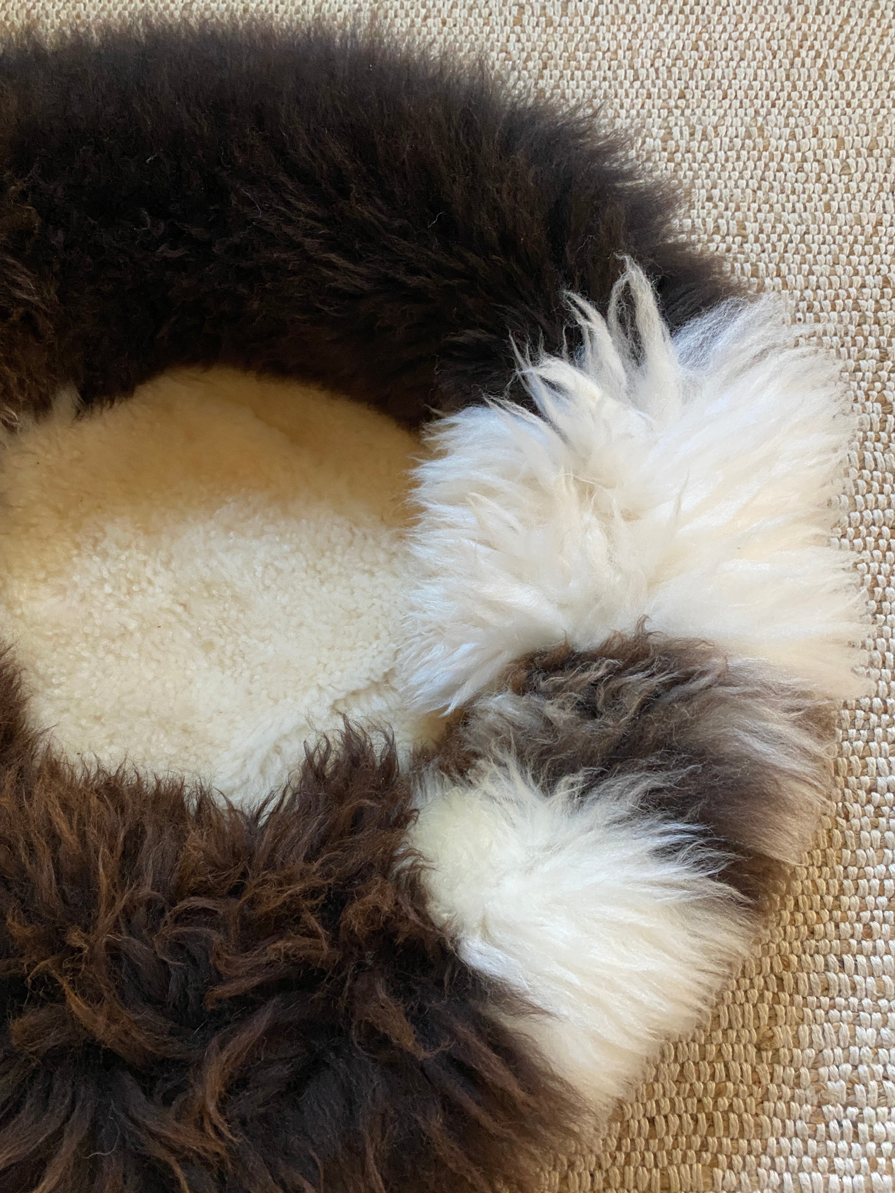 Exclusive Animal Snug #4