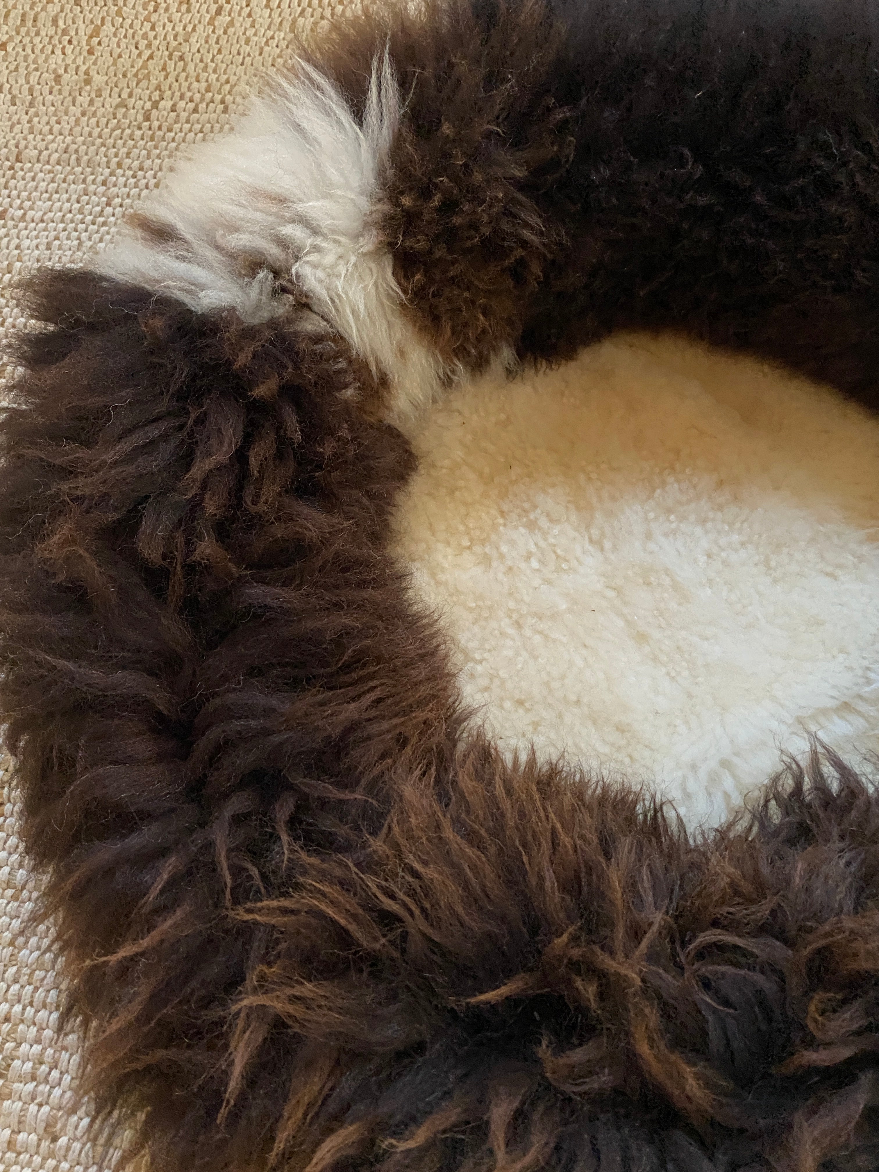 Exclusive Animal Snug #4