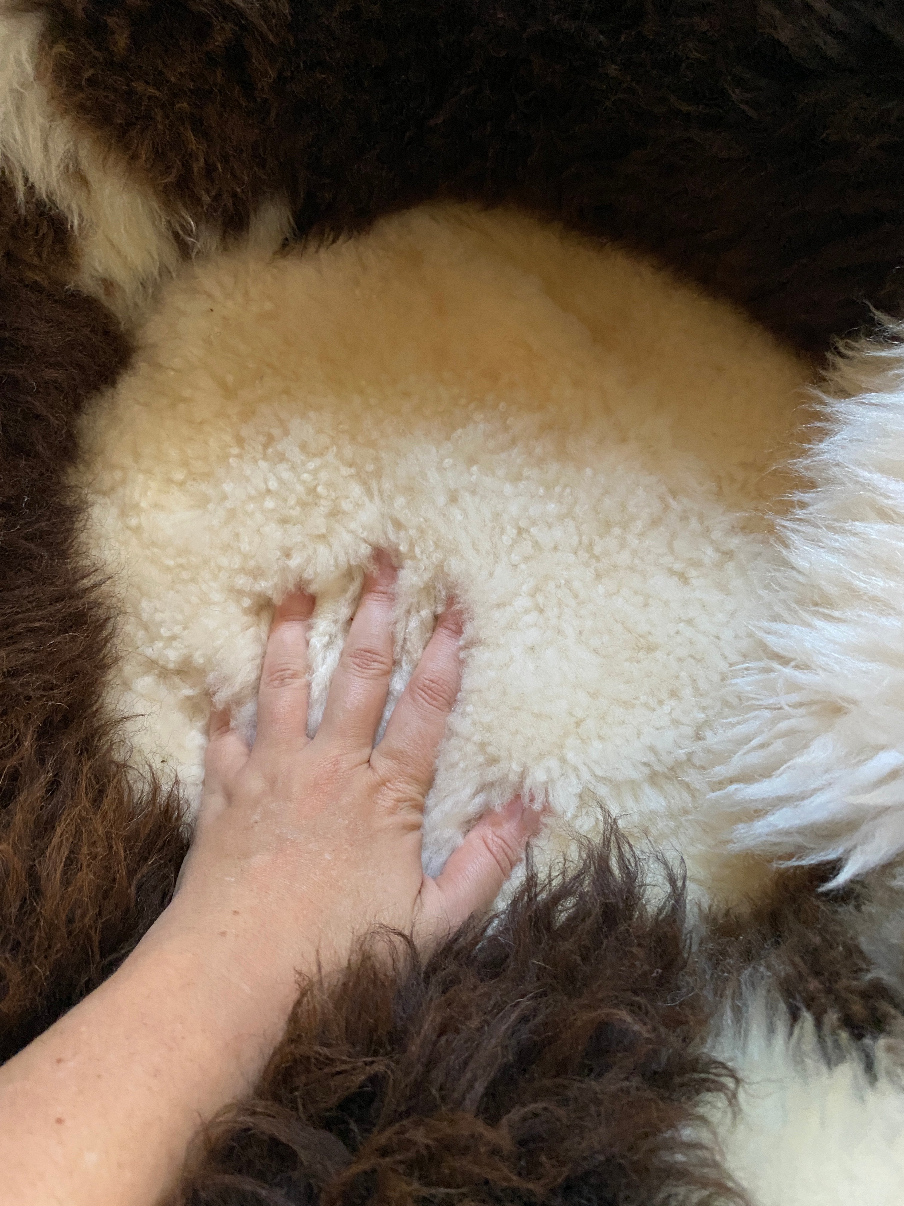 Exclusive Animal Snug #4