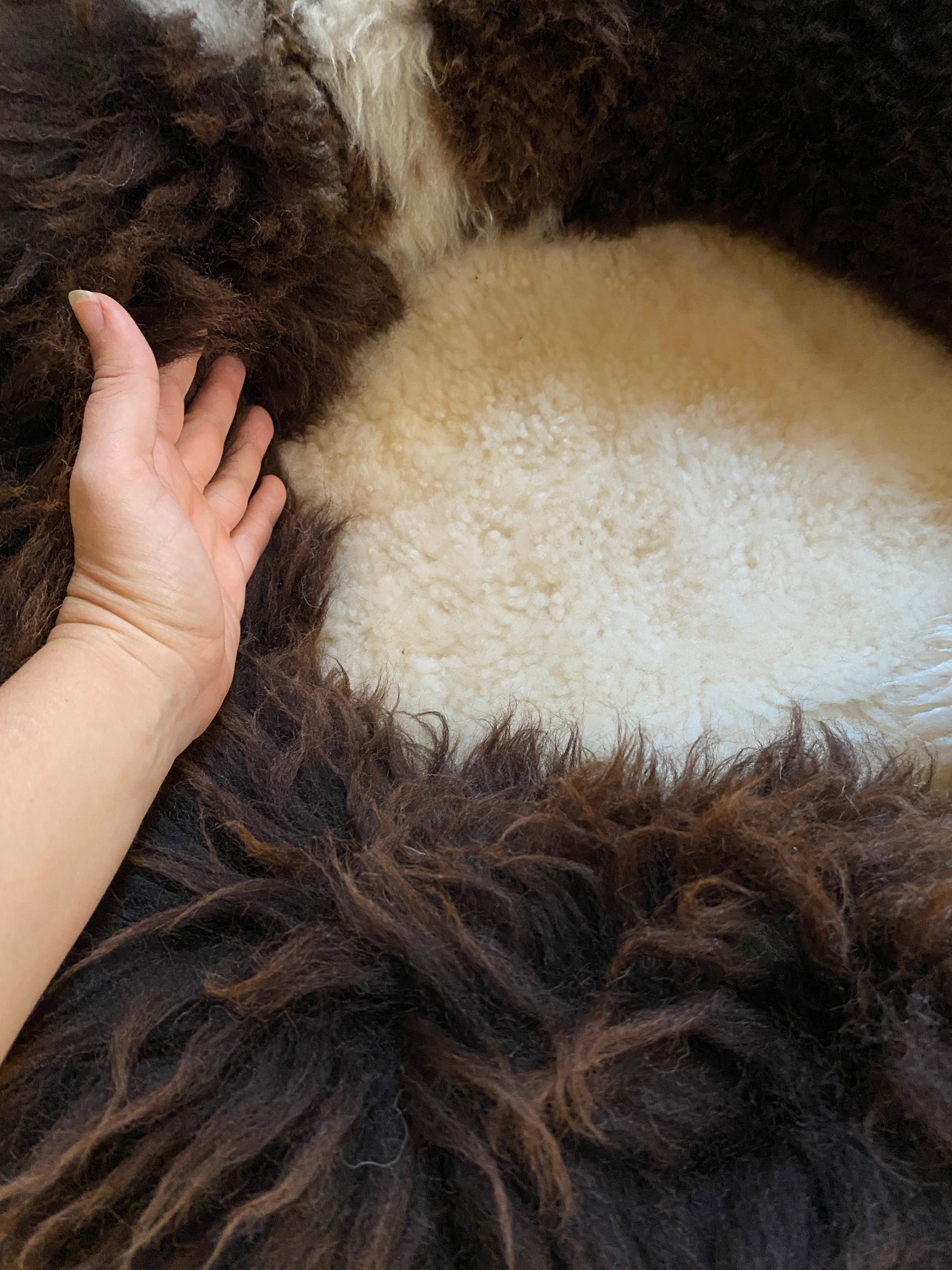 Exclusive Animal Snug #4