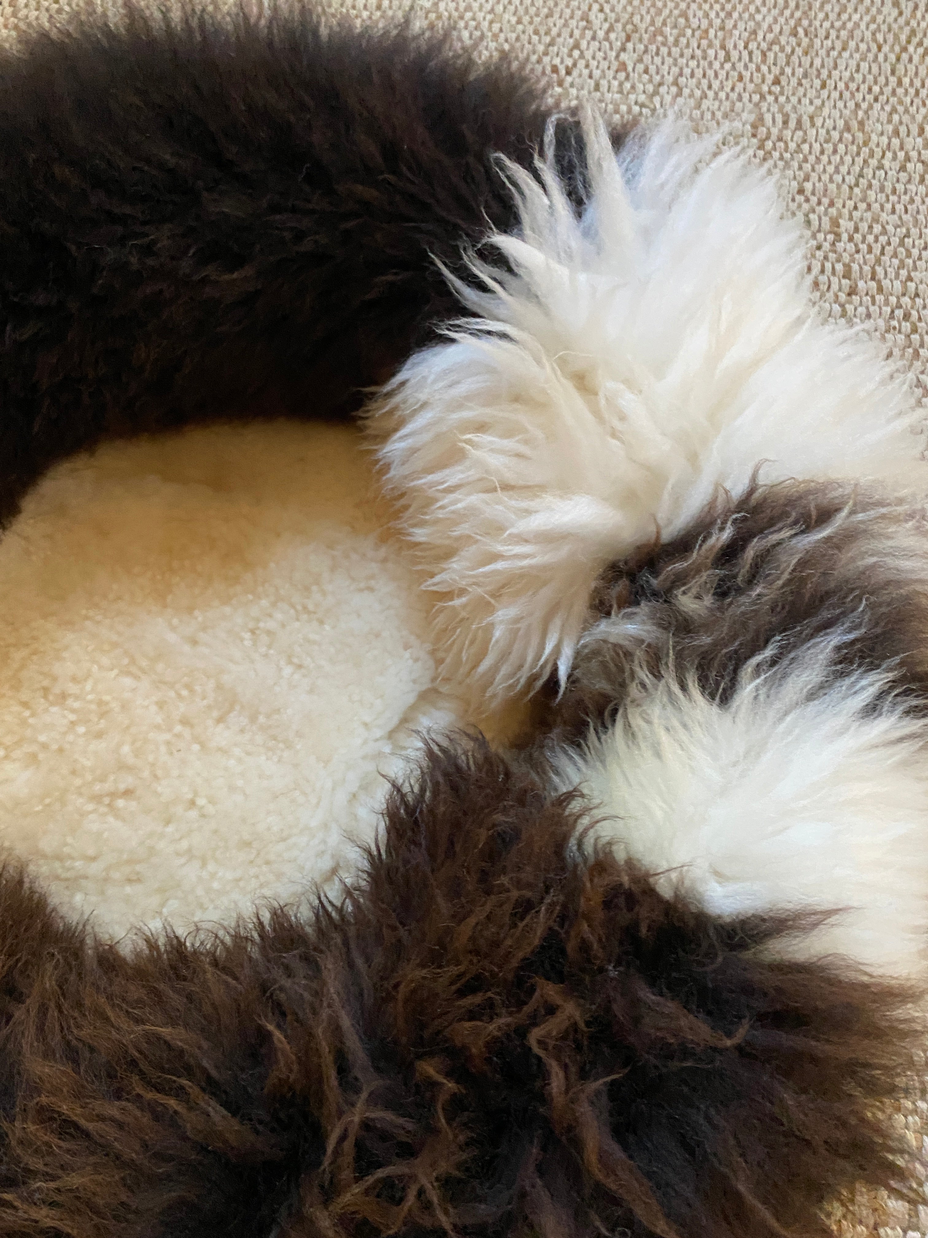 Exclusive Animal Snug #4