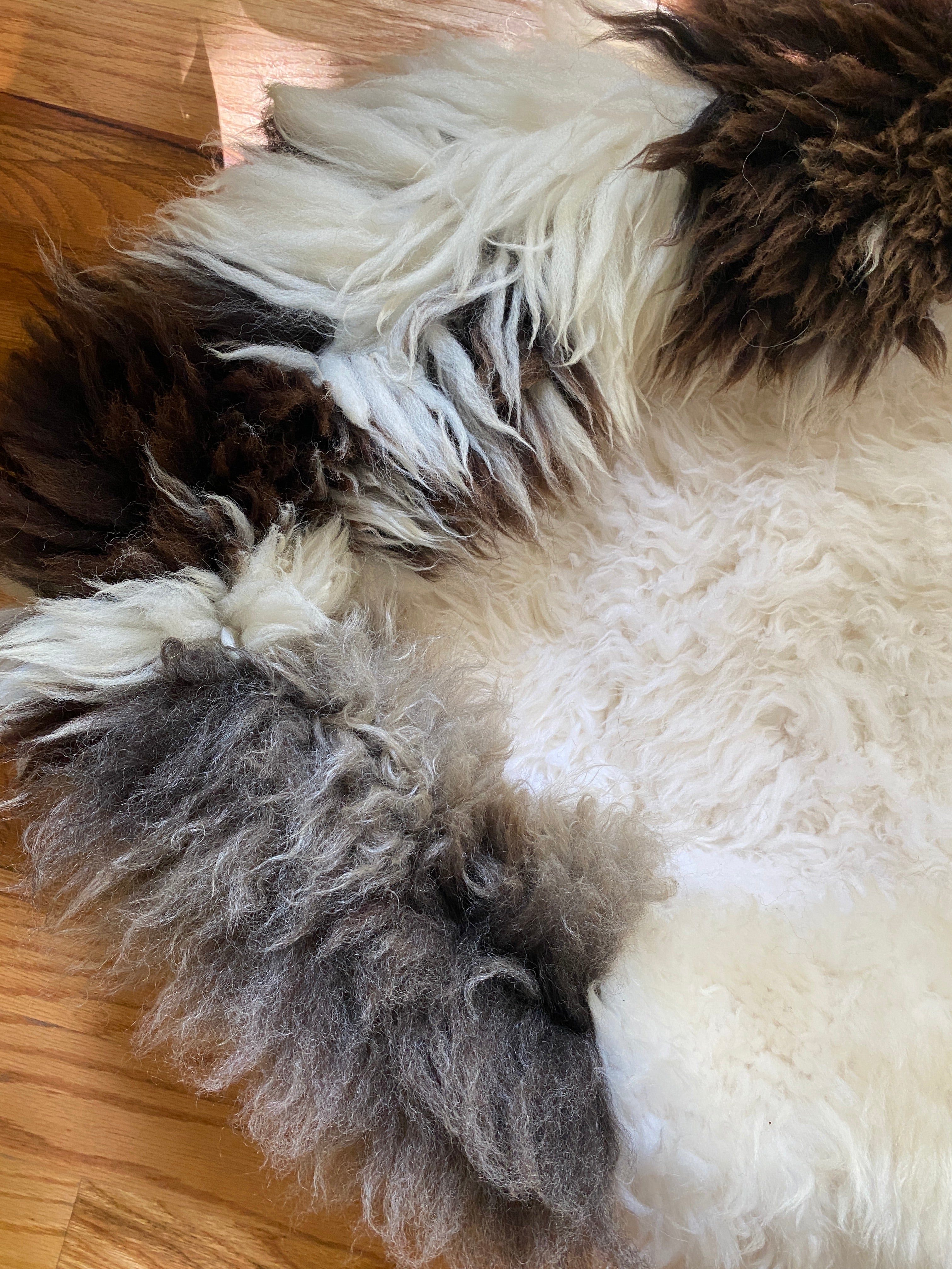 XXL Exclusive Animal Snug