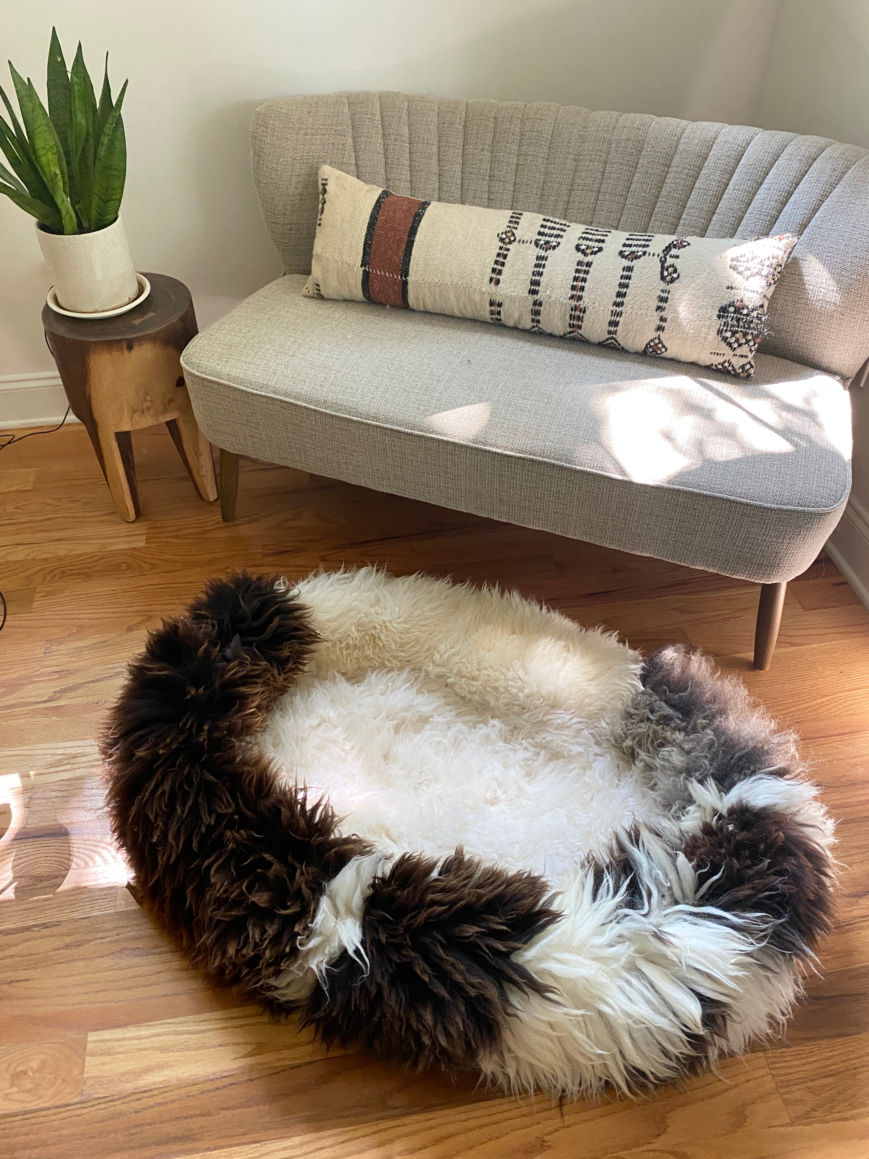 XXL Exclusive Animal Snug