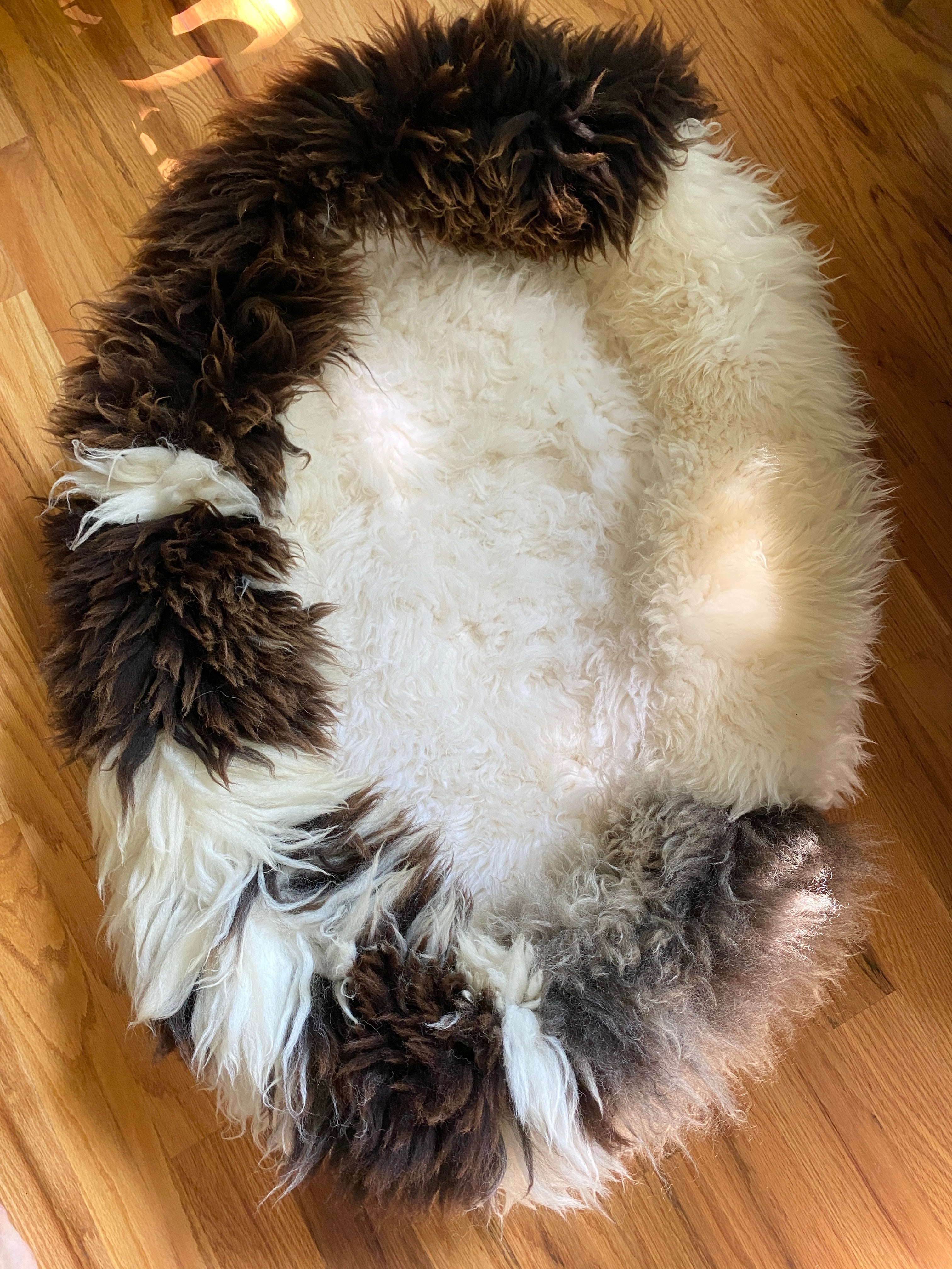 XXL Exclusive Animal Snug