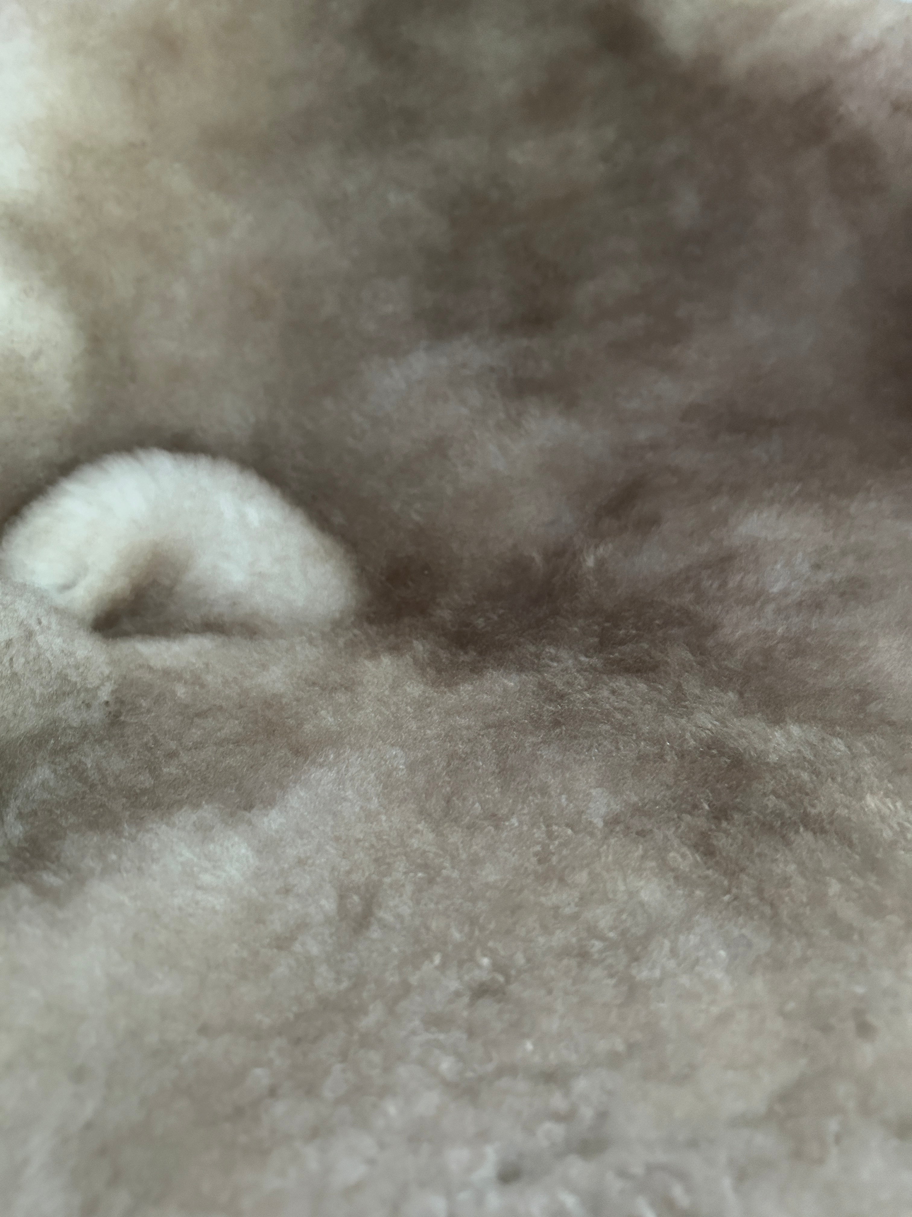 Greyish Brown Shortfur Sheepskin