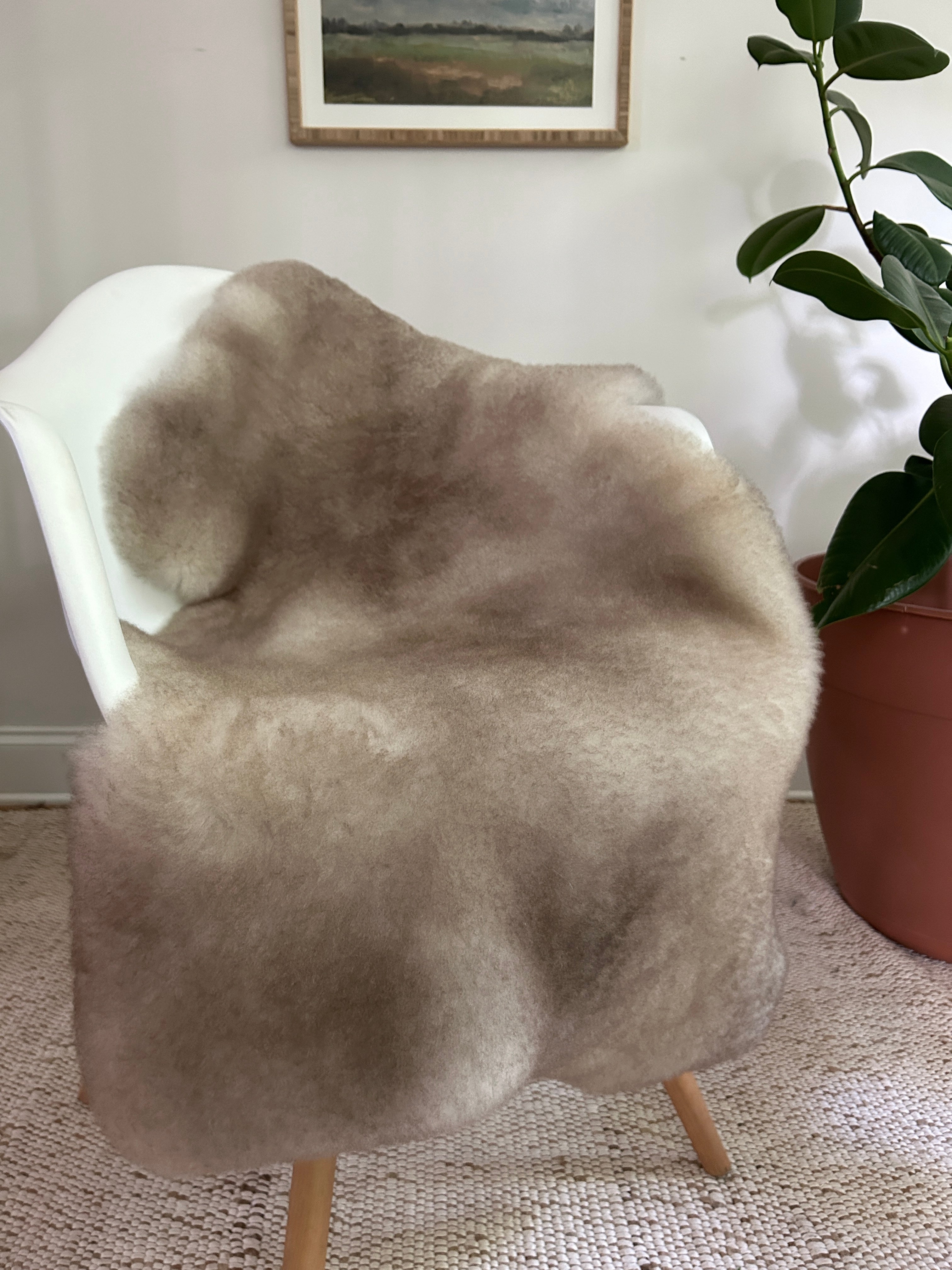 Greyish Brown Shortfur Sheepskin