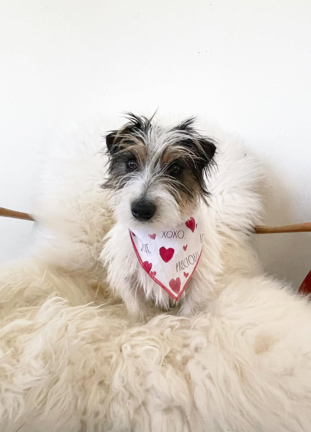 Sheepskin Dog Bed
