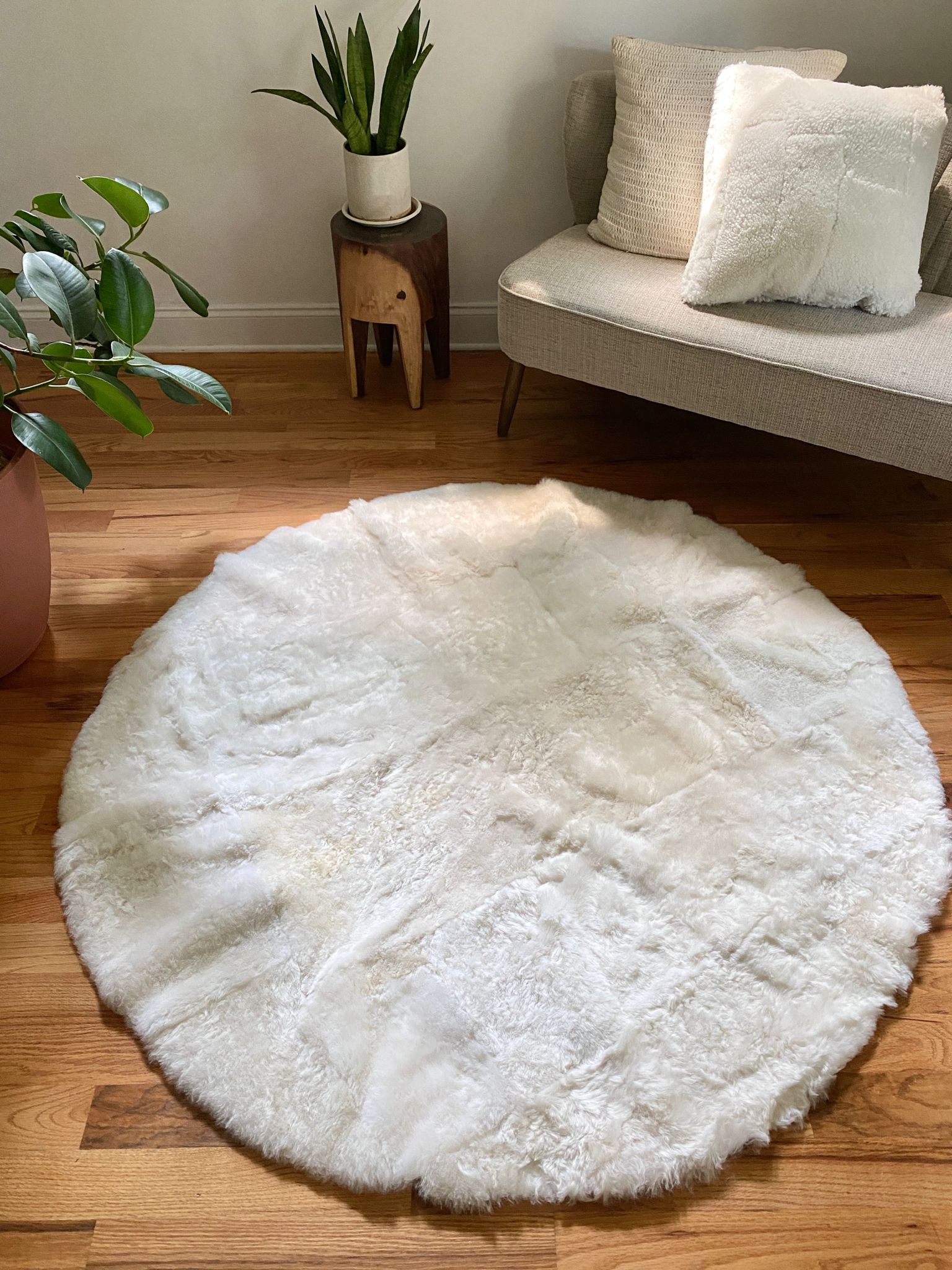 Sacred Spaces Collection: Shorn Circle Centerpiece 6' x 6'