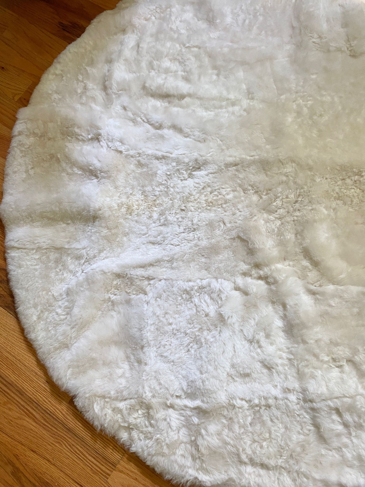 Sacred Spaces Collection: Shorn Circle Centerpiece 5' x 5'