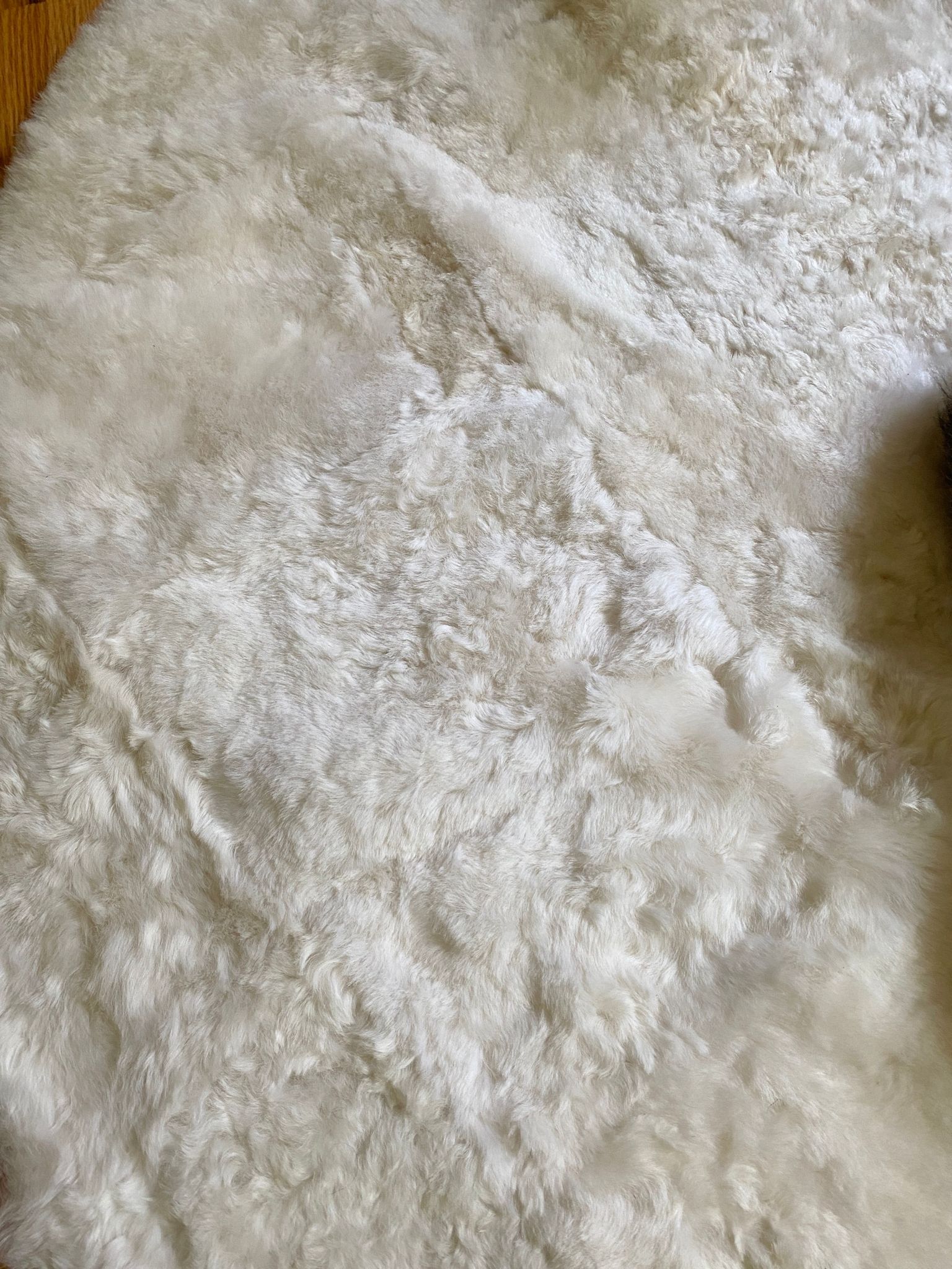 Sacred Spaces Collection: Shorn Circle Centerpiece 6' x 6'
