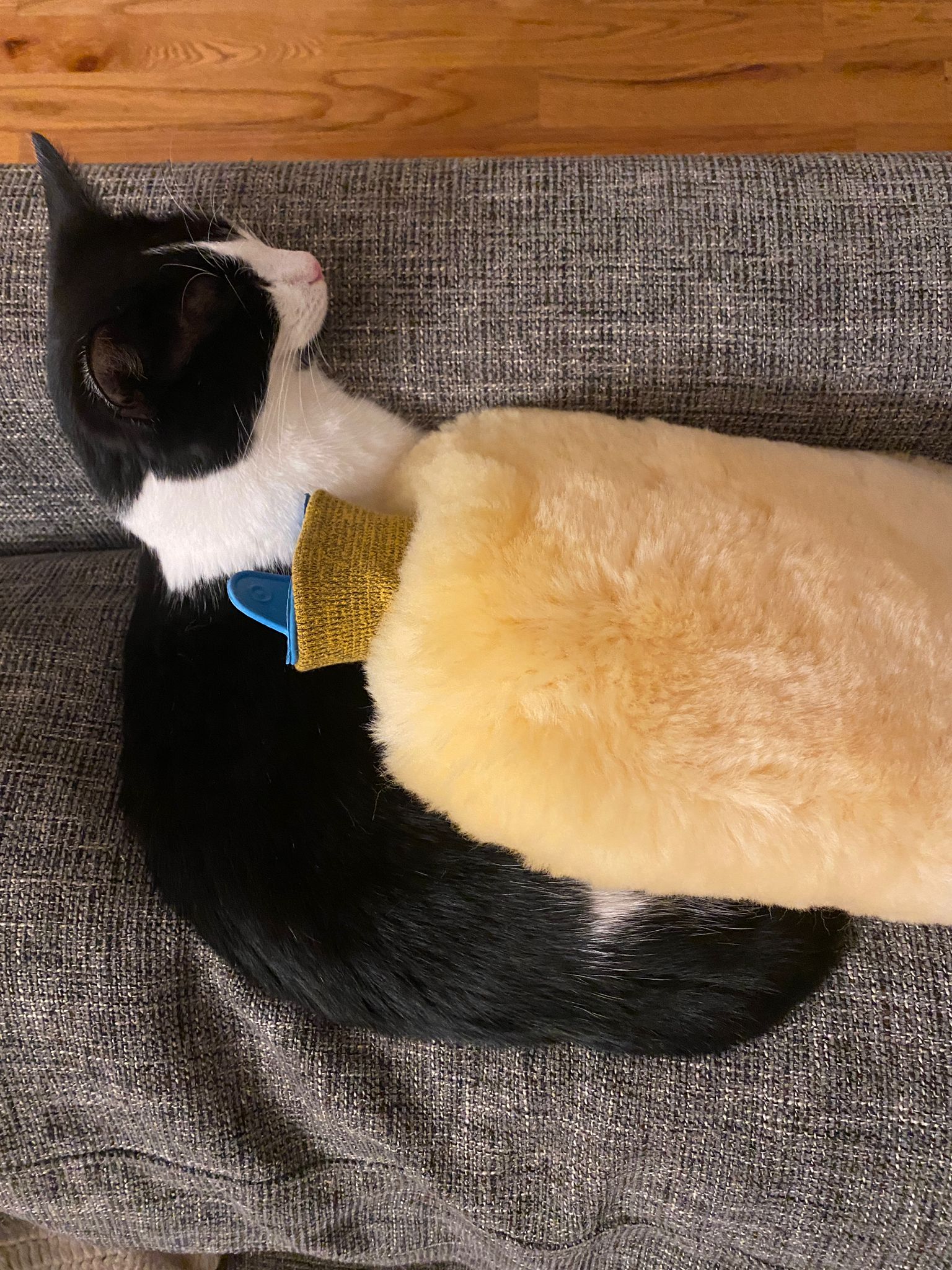 Sheepskin Hot Water Bottle Warmer