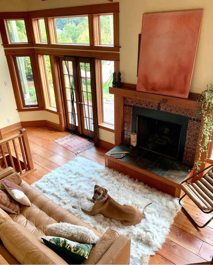 Dog on creamy ivory sheepskin bed cover rug