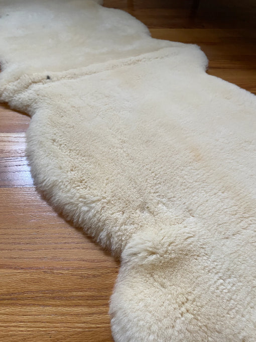 Close-up of a double shorn ivory sheepskin
