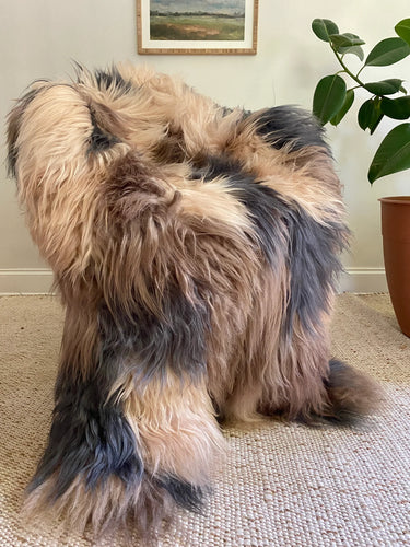 icelandic patchwork sheepskin