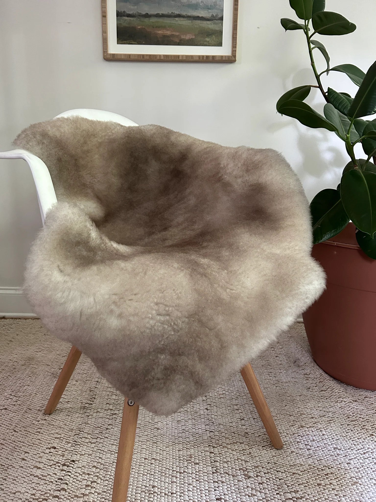 Greyish brown shortfur sheepskin