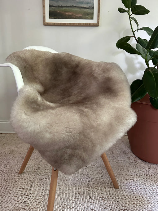 Greyish brown shortfur sheepskin