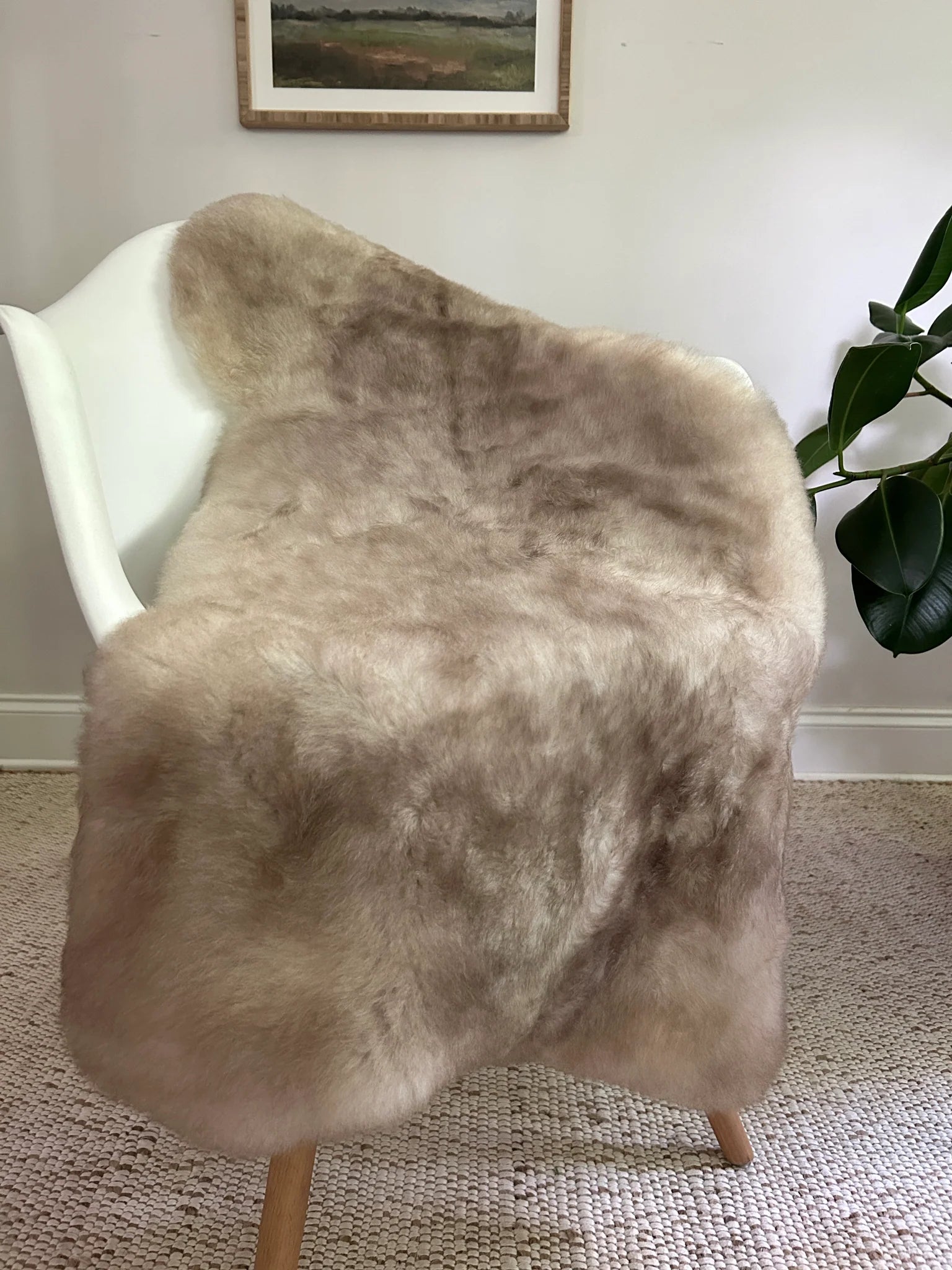Greyish brown shortfur sheepskin draped over a white chair