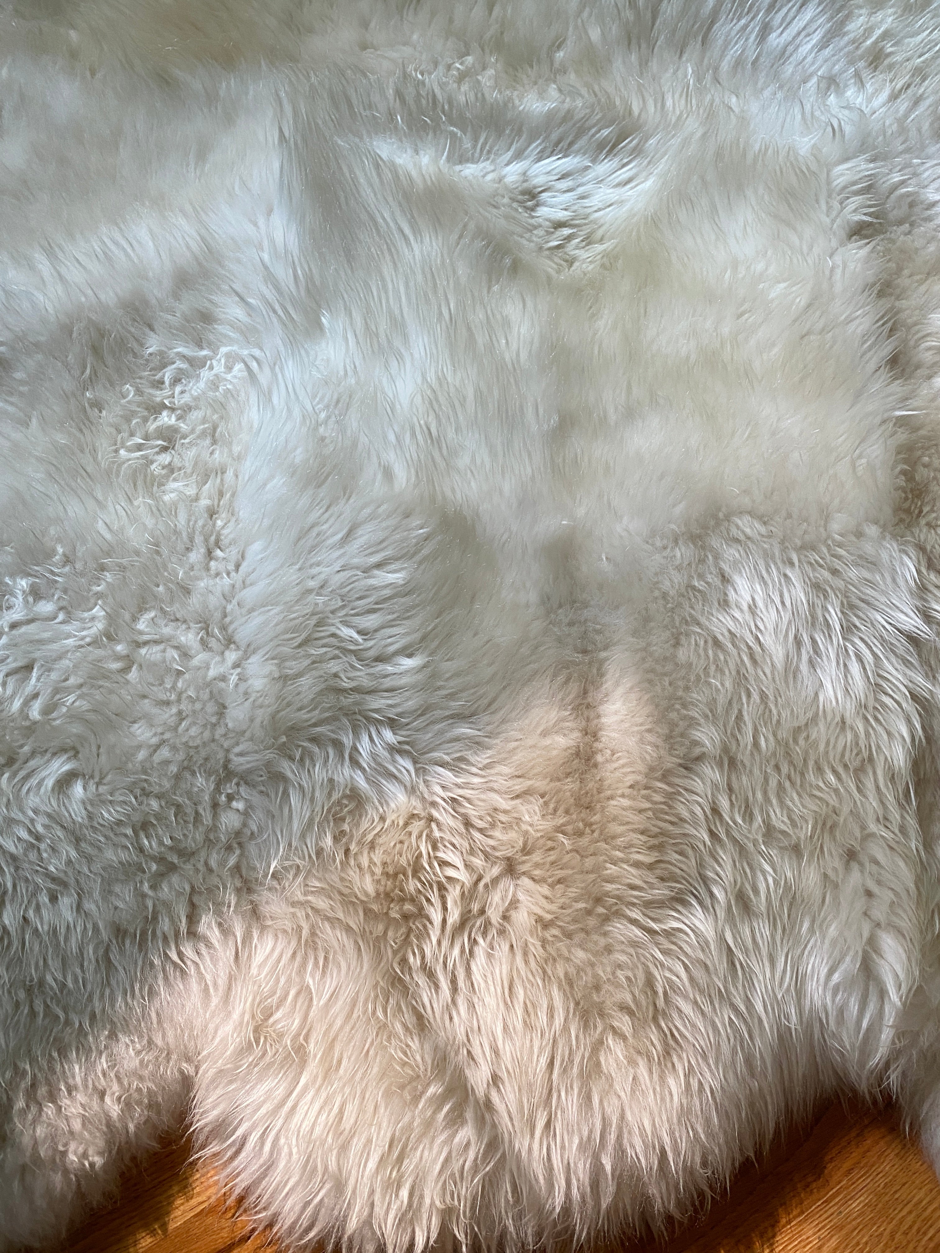 SACRED SPACES COLLECTION: GOLDEN IVORY SEXTO SHEEPSKIN