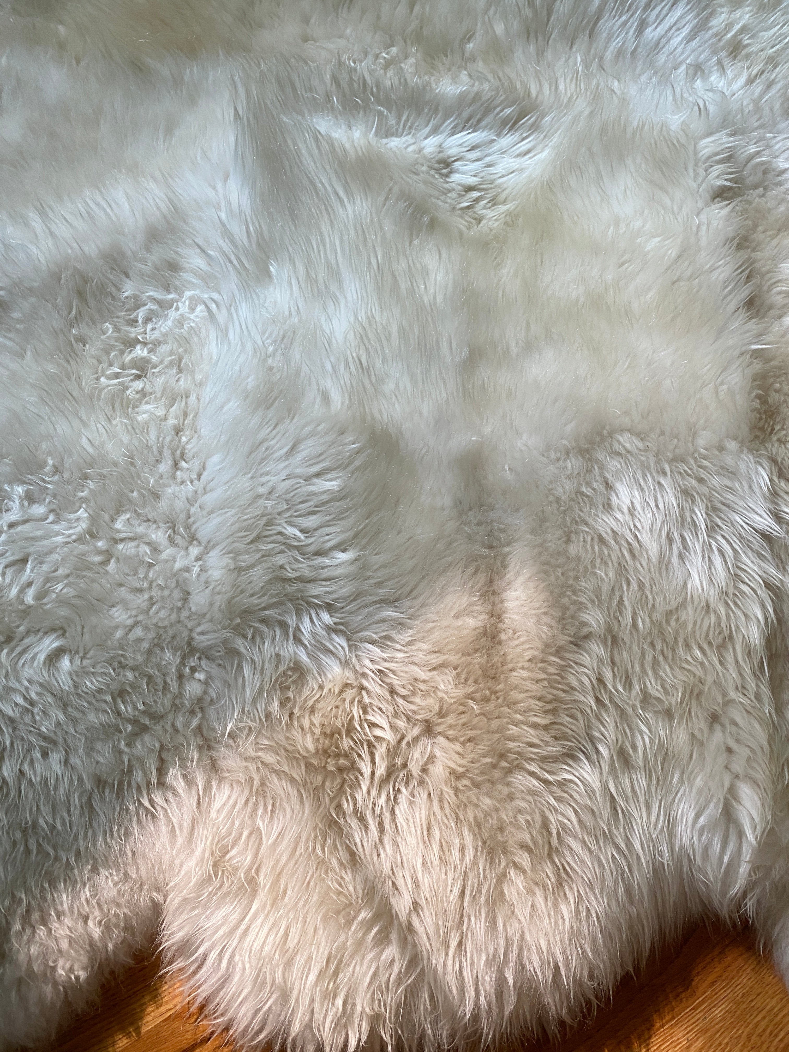 Are Sheepskins Ethical? – Dartmoor Sheepskins